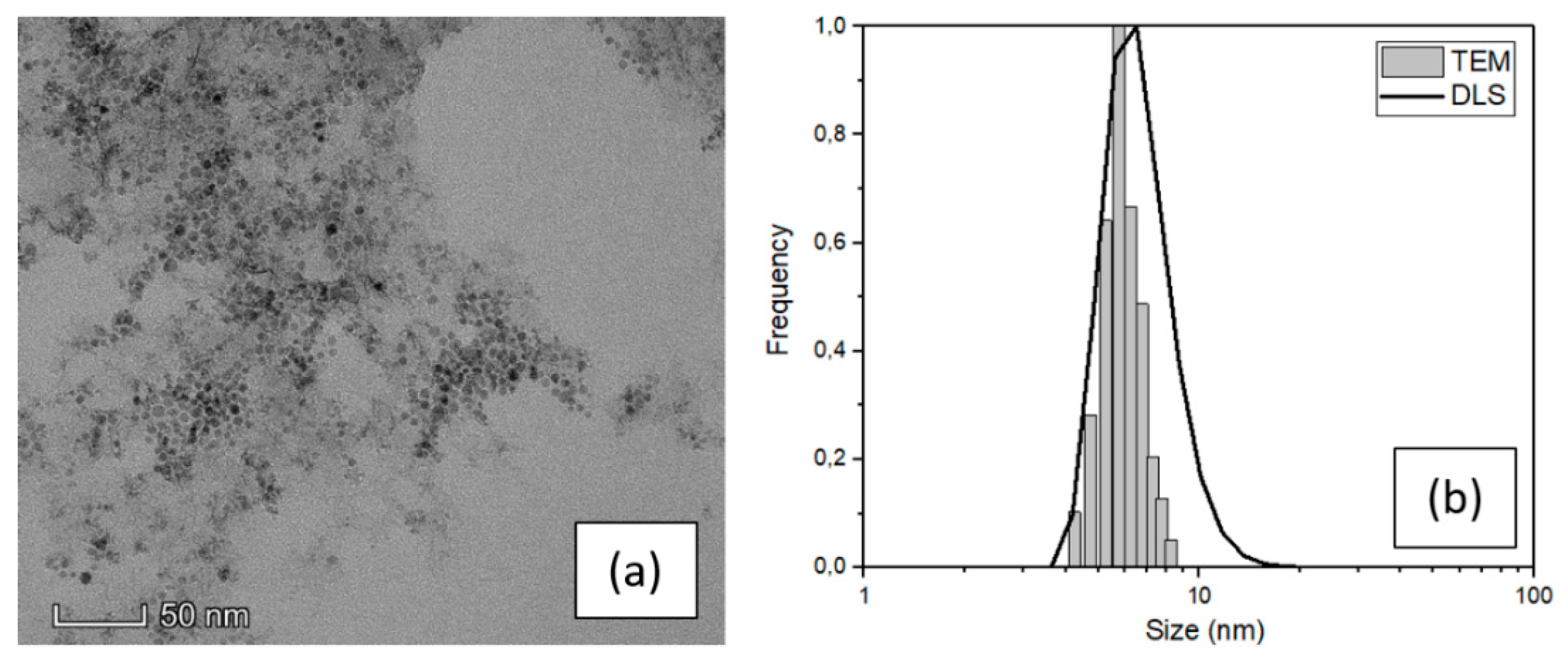 Nanomaterials 10 00463 g001 Nanomaterials 10 00463 g001