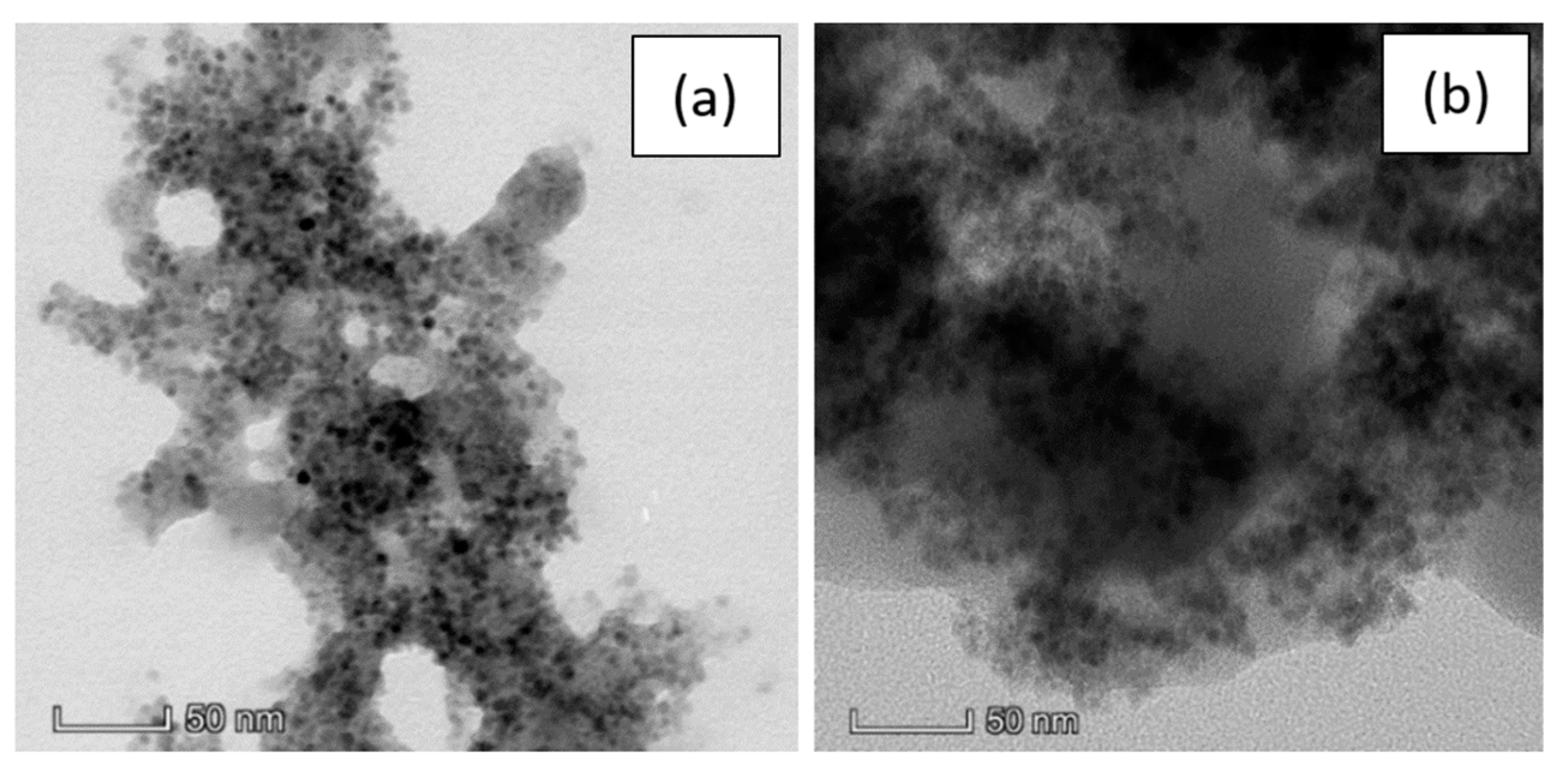 Nanomaterials 10 00463 g004 Nanomaterials 10 00463 g004