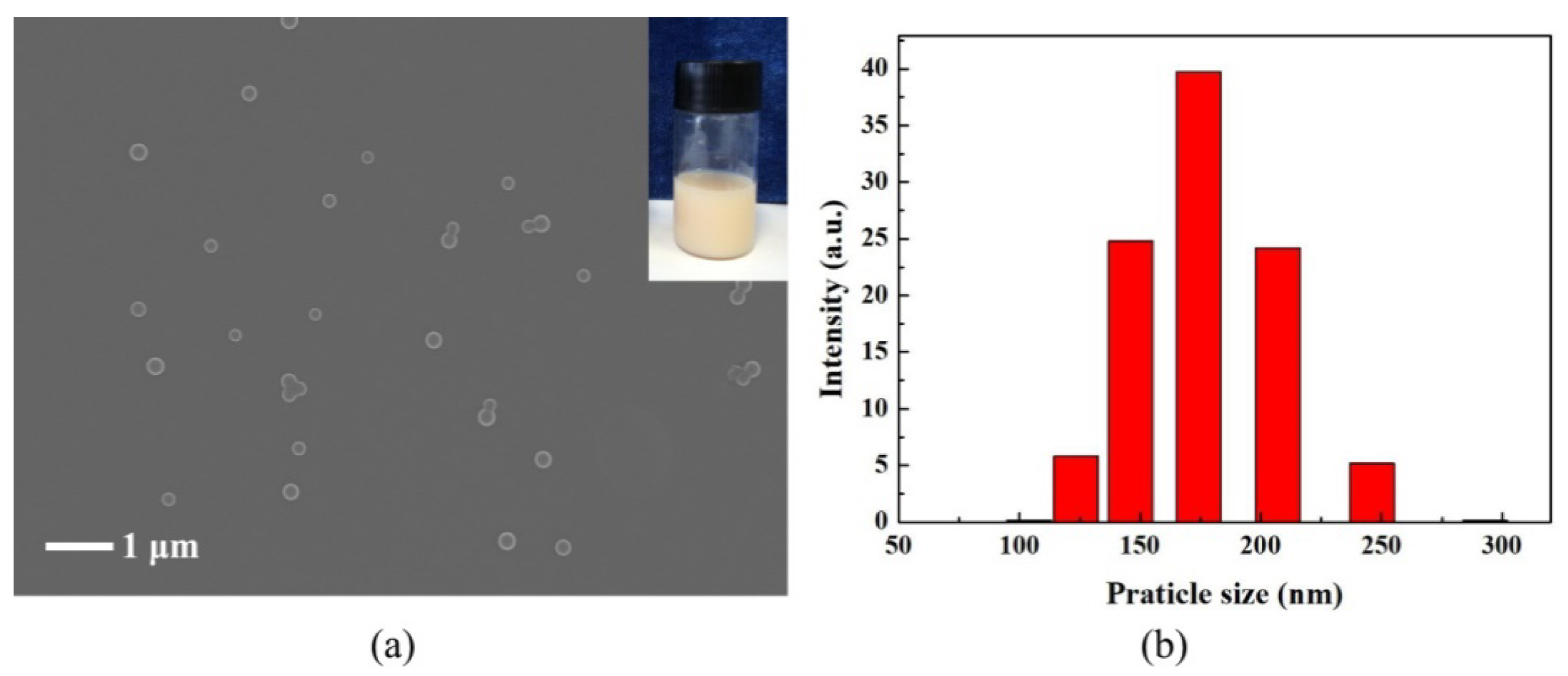 Nanomaterials 10 00467 g001 Nanomaterials 10 00467 g001