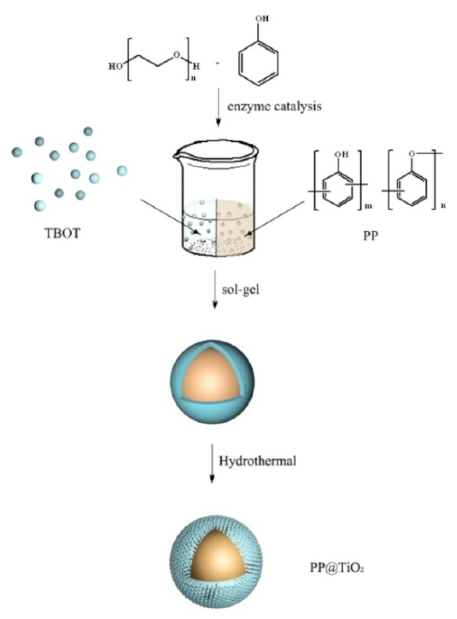 Nanomaterials 10 00467 sch001 Nanomaterials 10 00467 sch001
