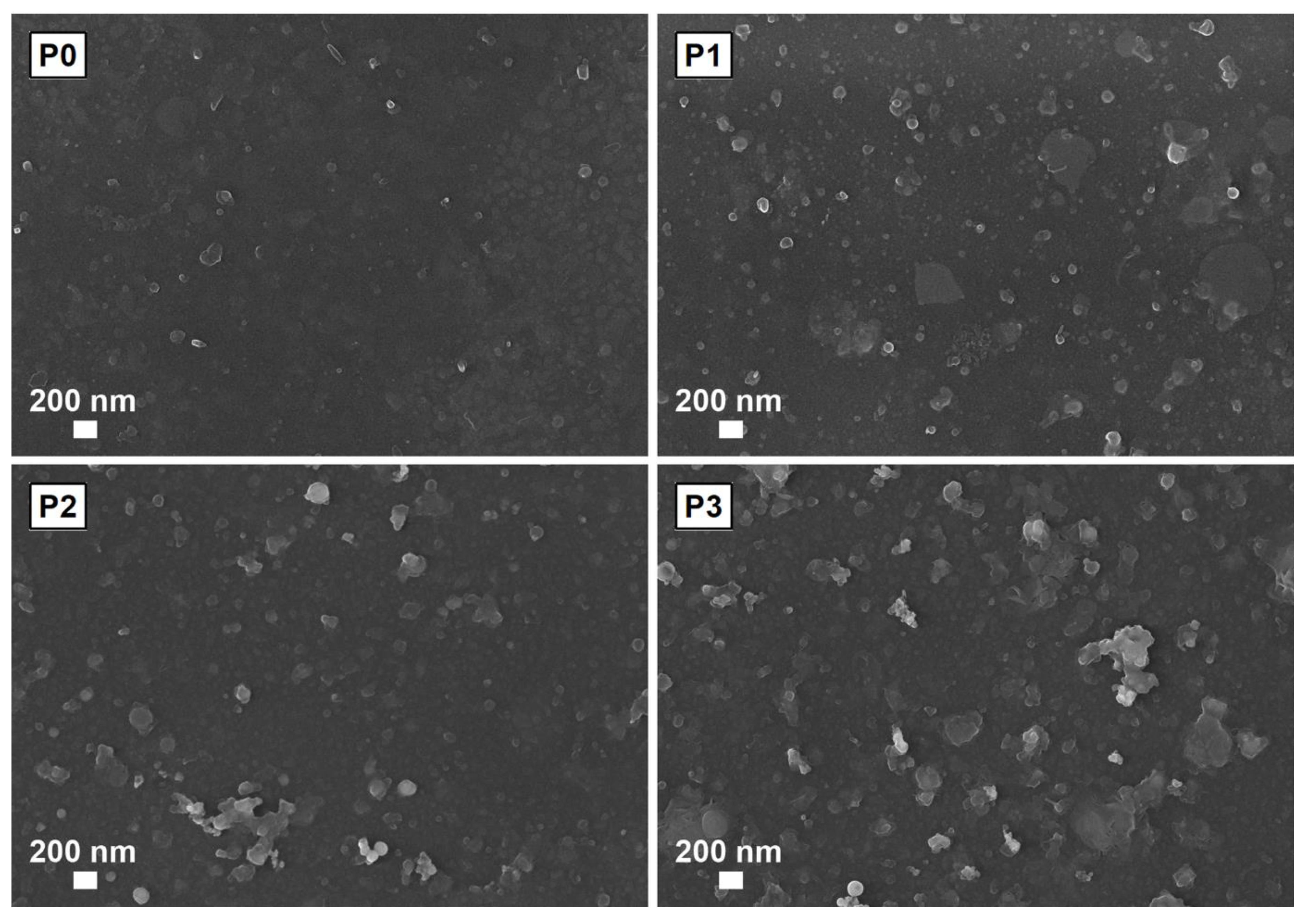 Nanomaterials 10 00468 g005