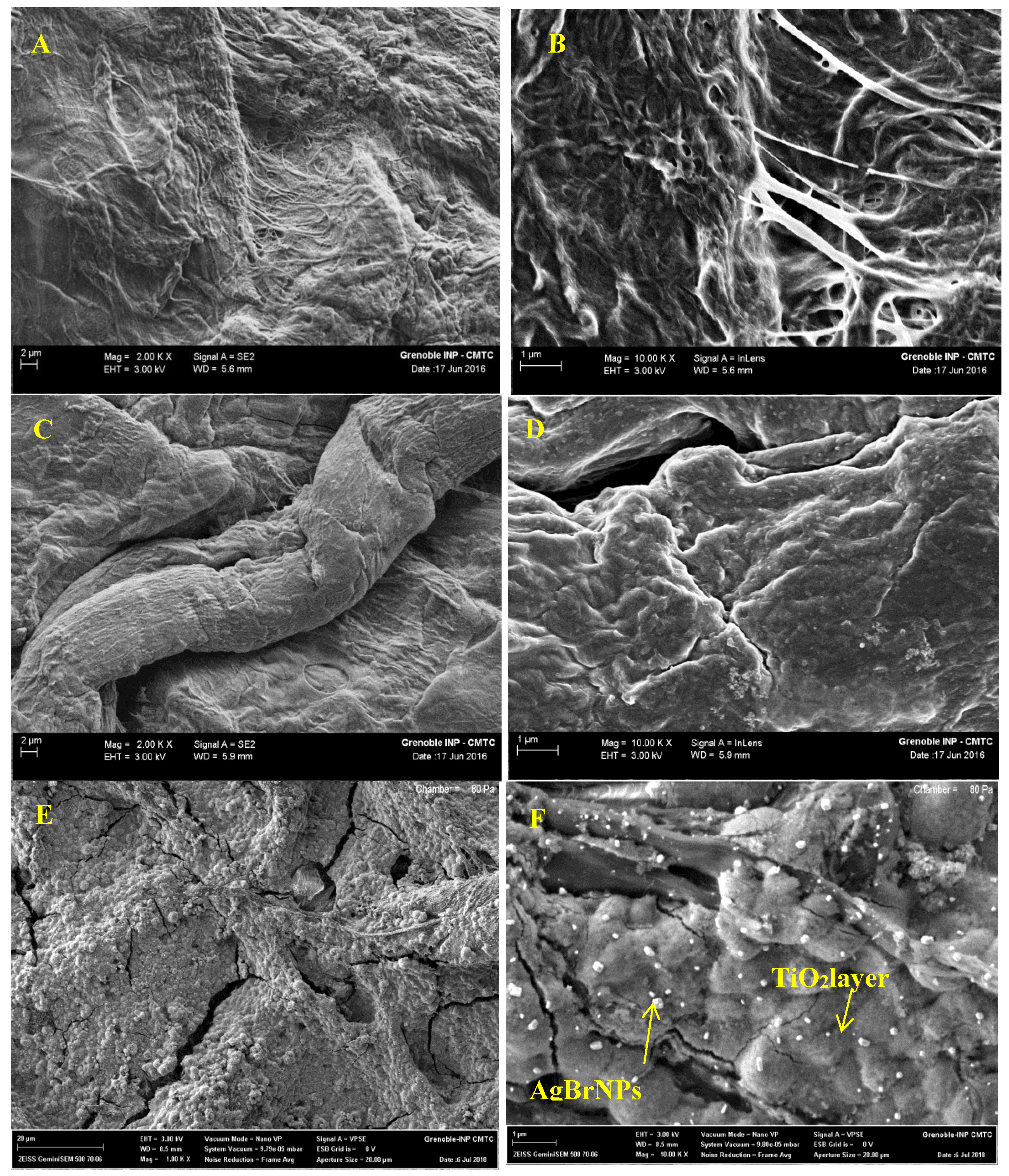 Nanomaterials 10 00470 g002