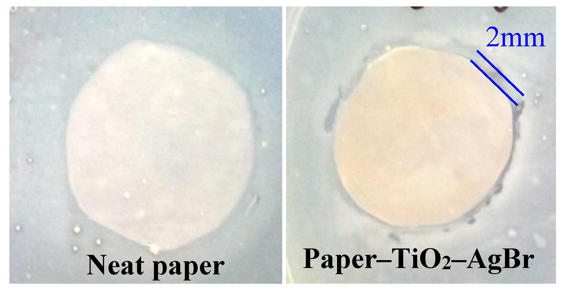 Nanomaterials 10 00470 g008