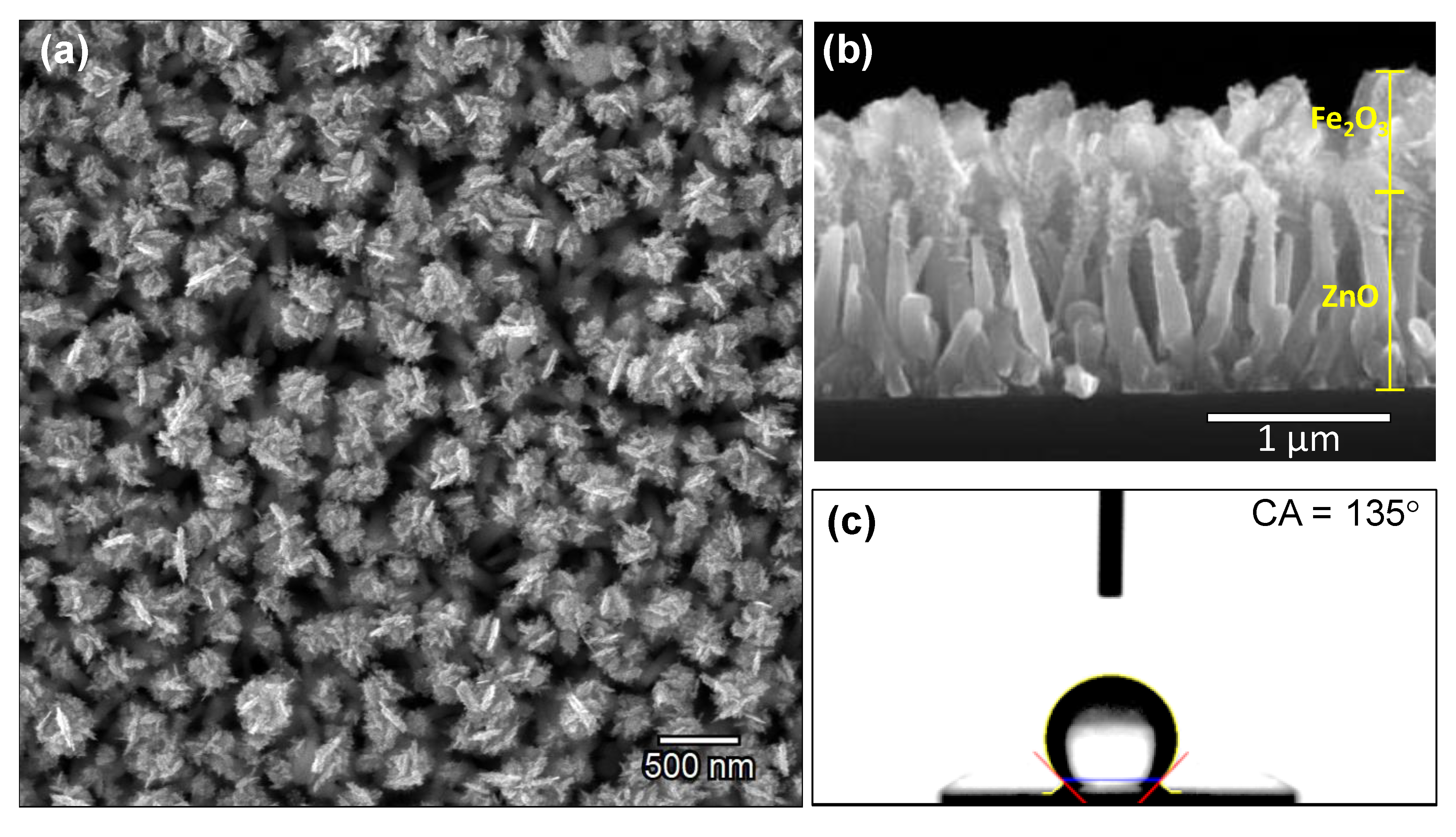 Nanomaterials 10 00471 g003