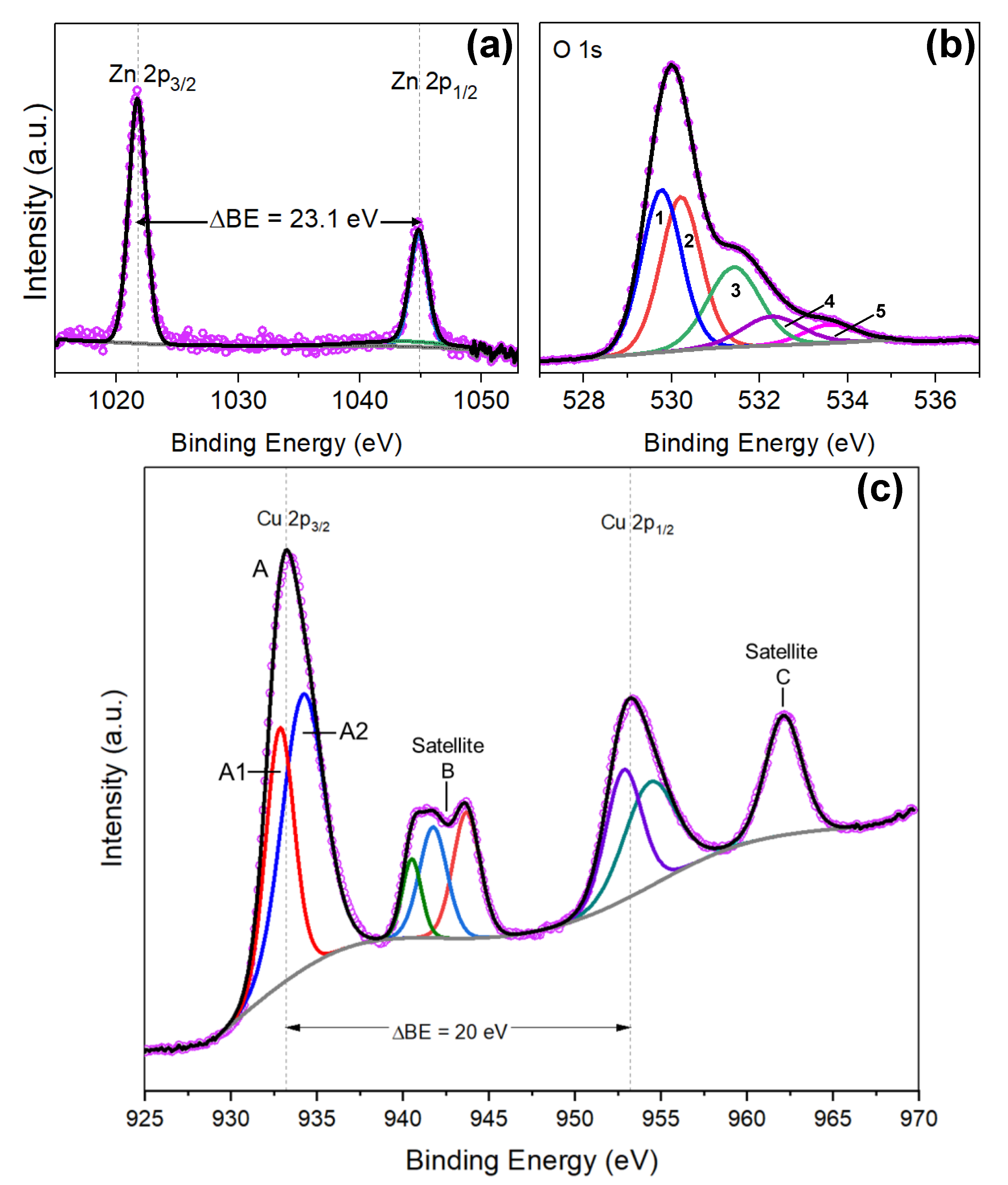 Nanomaterials 10 00471 g010