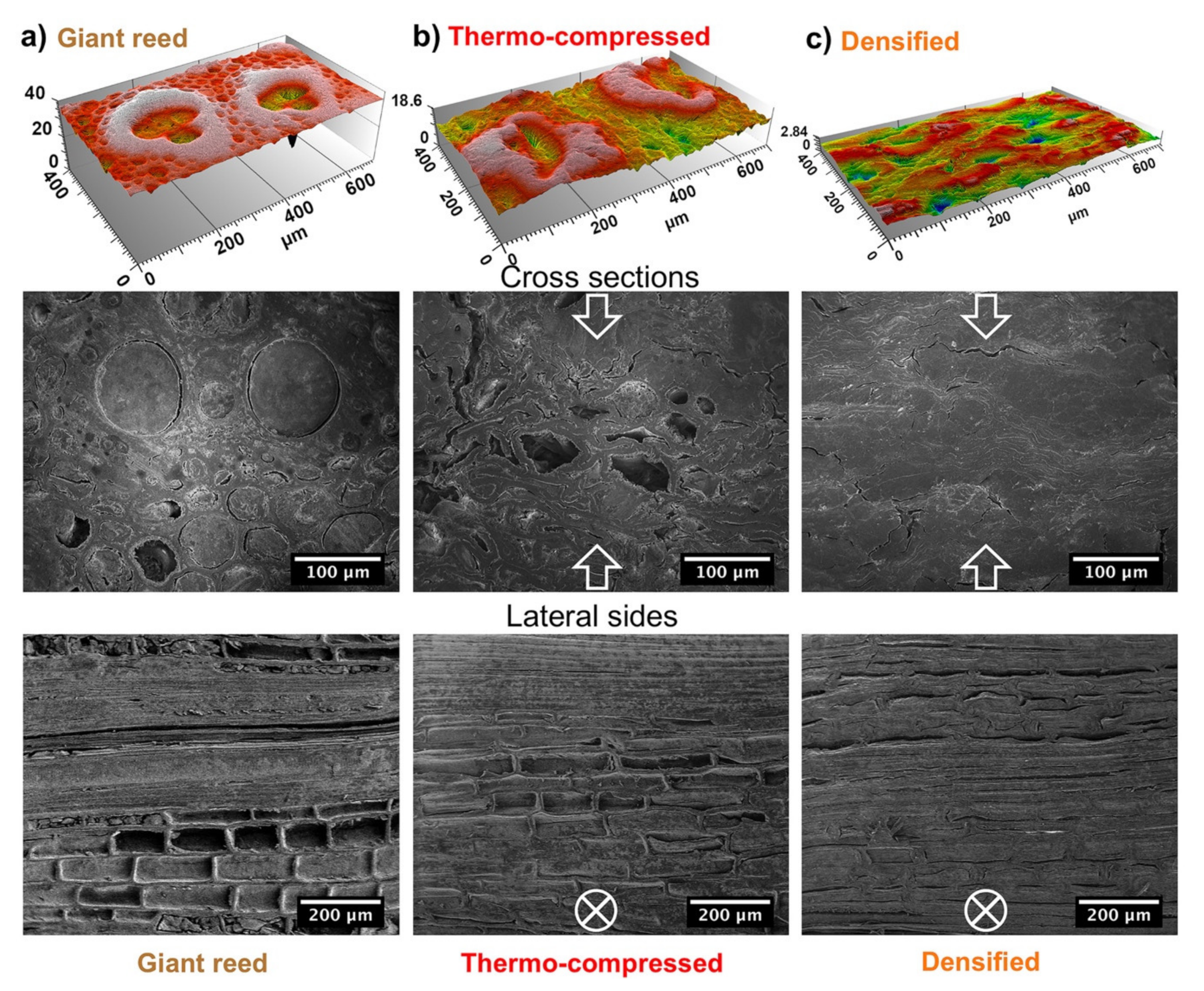 Nanomaterials 10 00478 g001