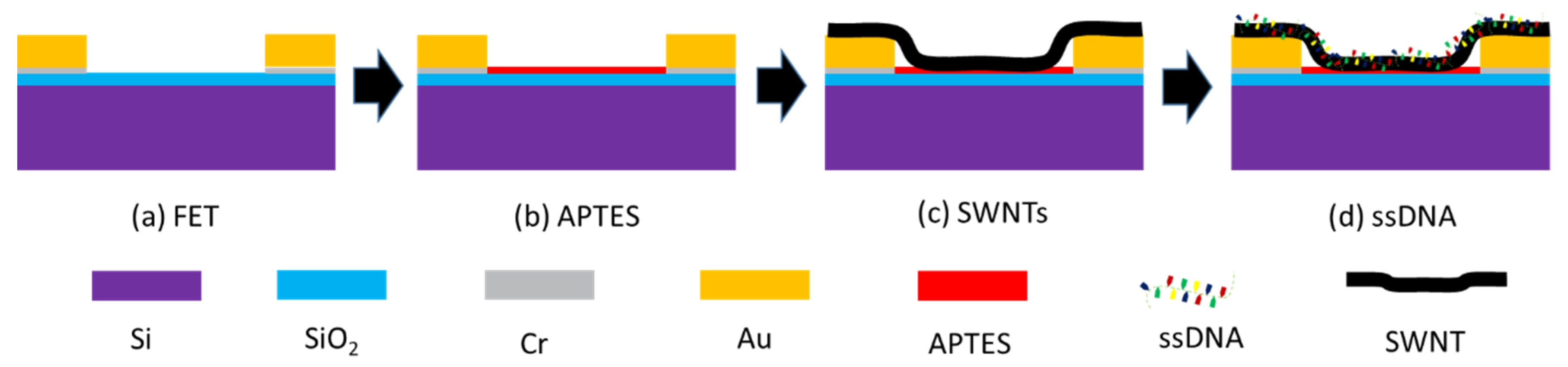 Nanomaterials 10 00479 g001
