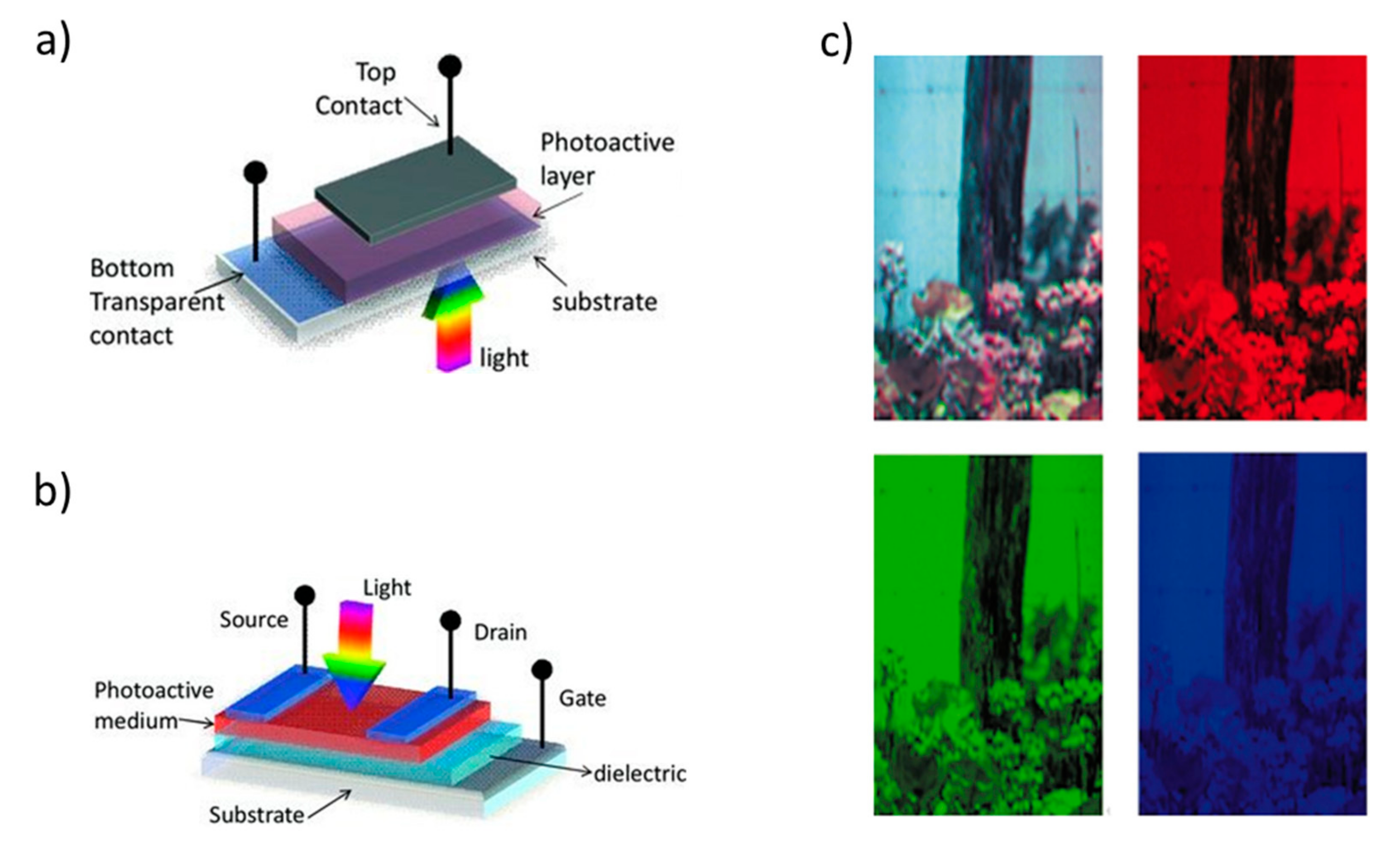 Nanomaterials 10 00480 g001
