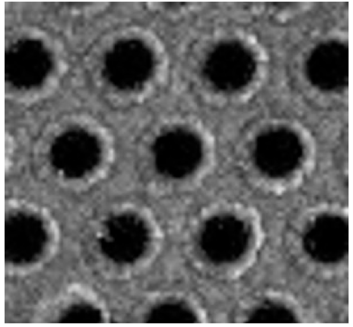 Nanomaterials 10 00480 g004