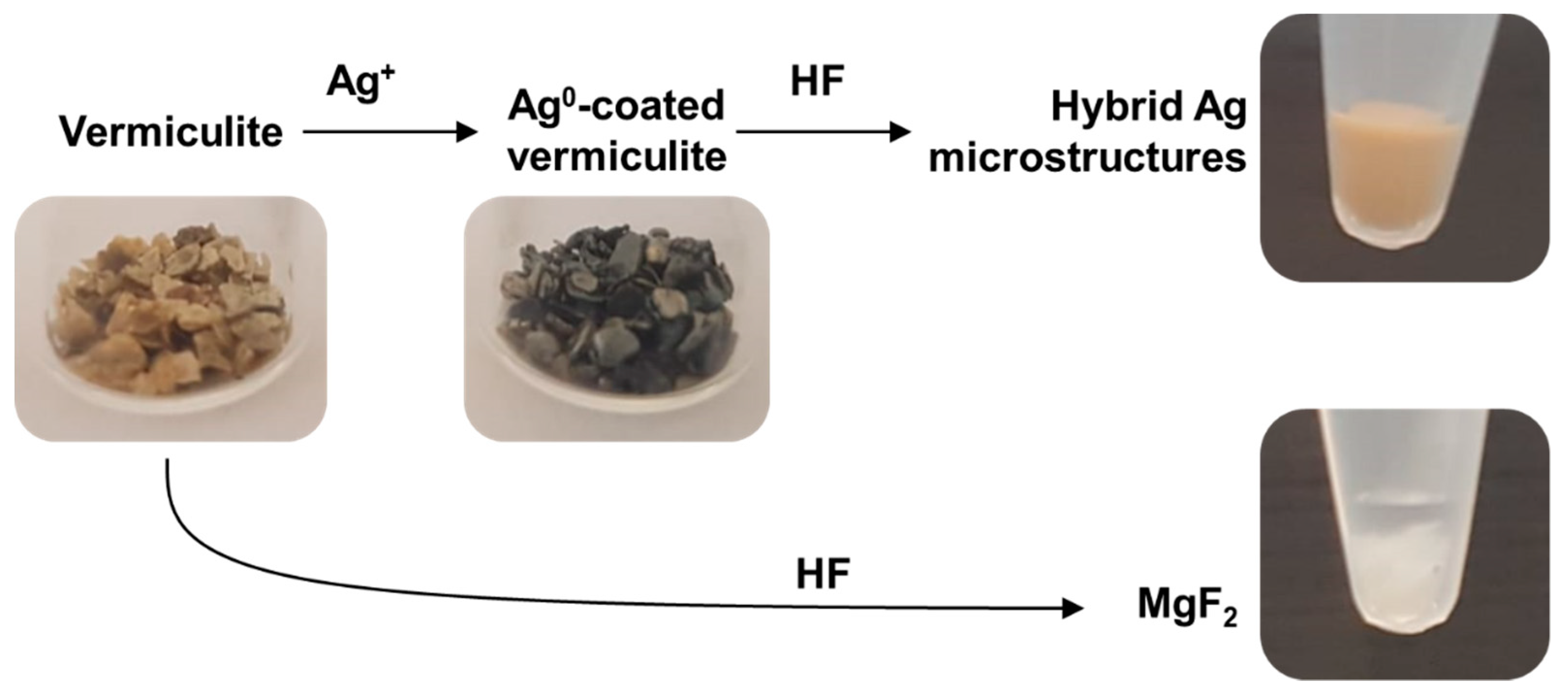 Nanomaterials 10 00481 sch001 Nanomaterials 10 00481 sch001