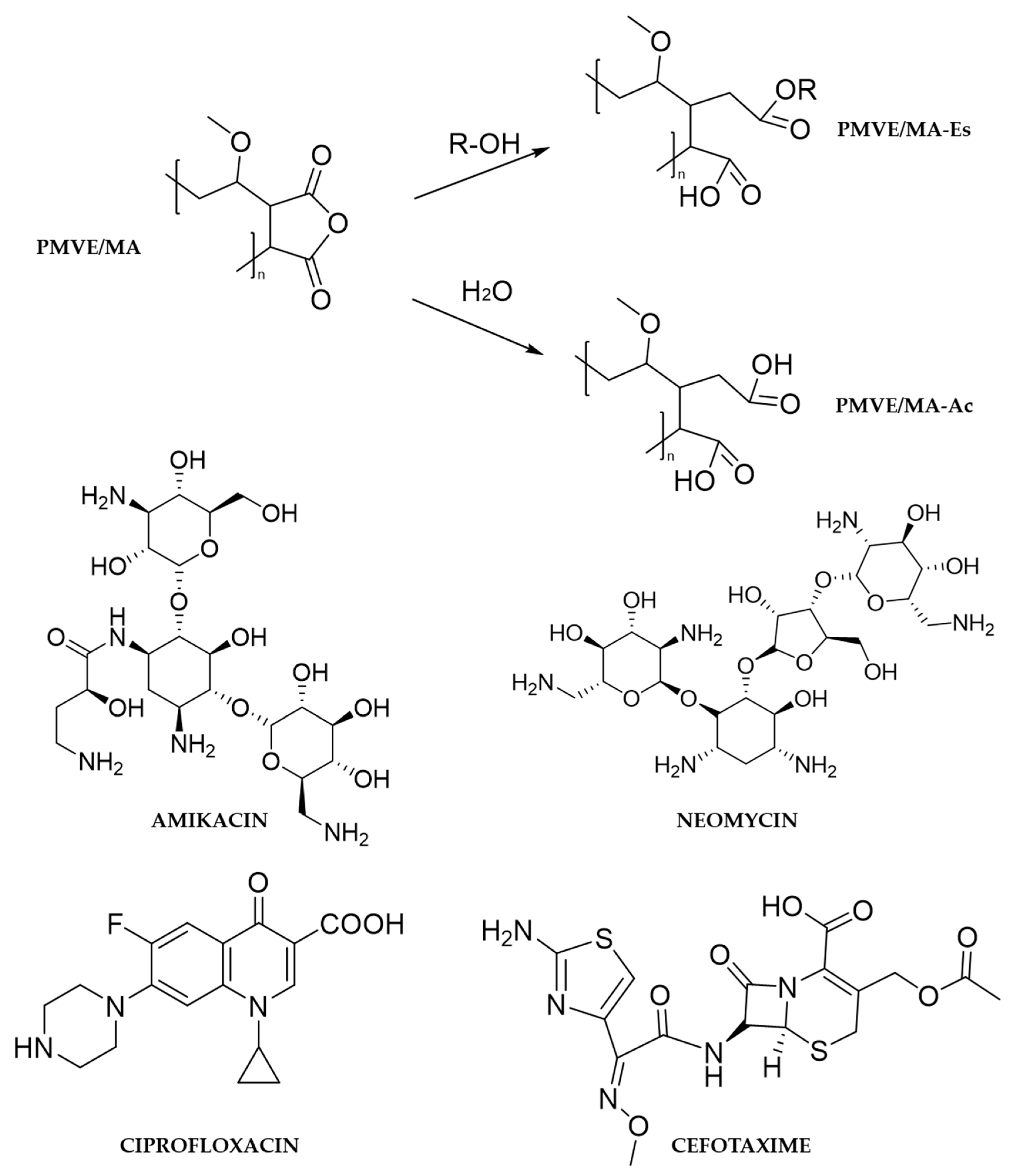 Nanomaterials 10 00486 g001