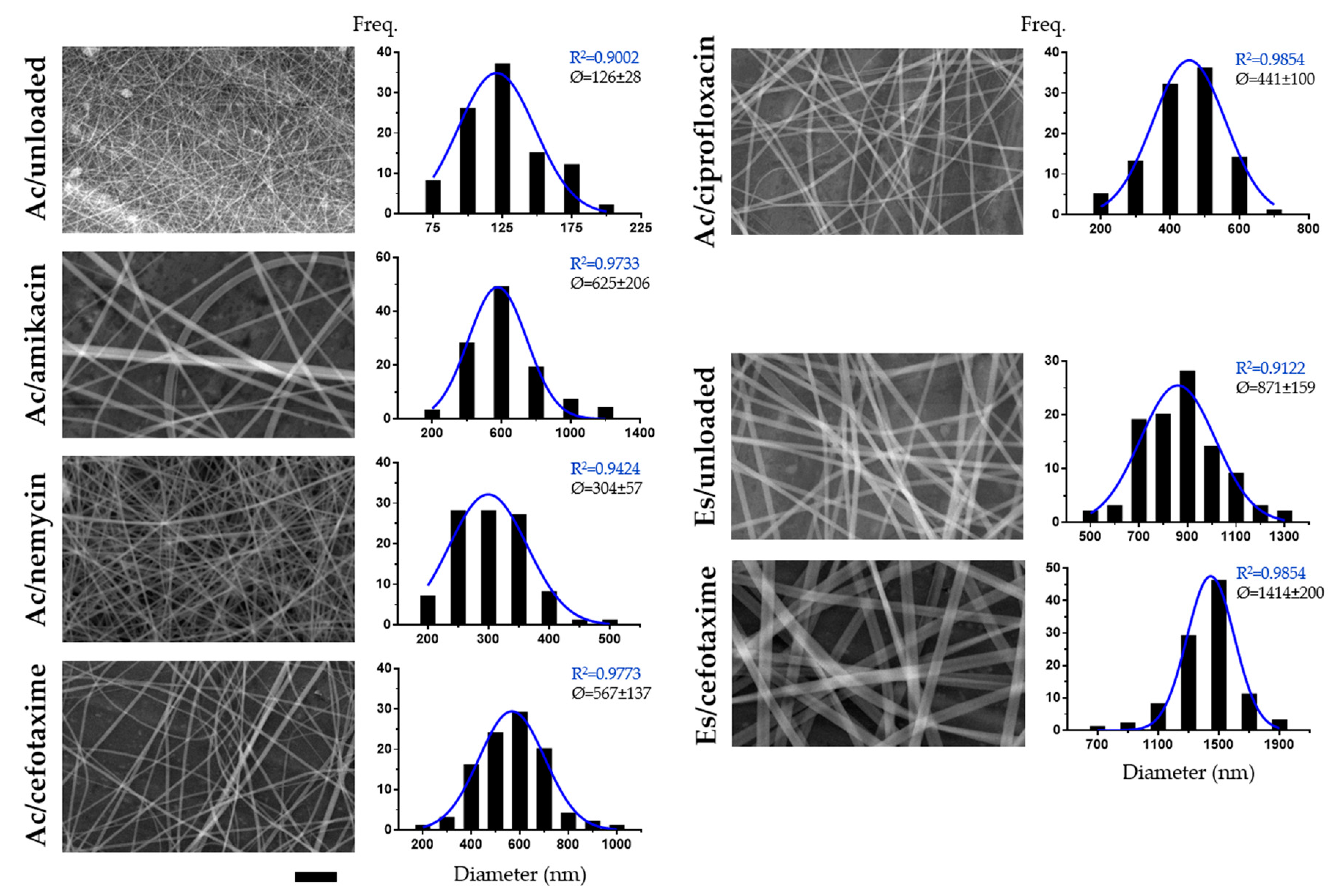 Nanomaterials 10 00486 g002