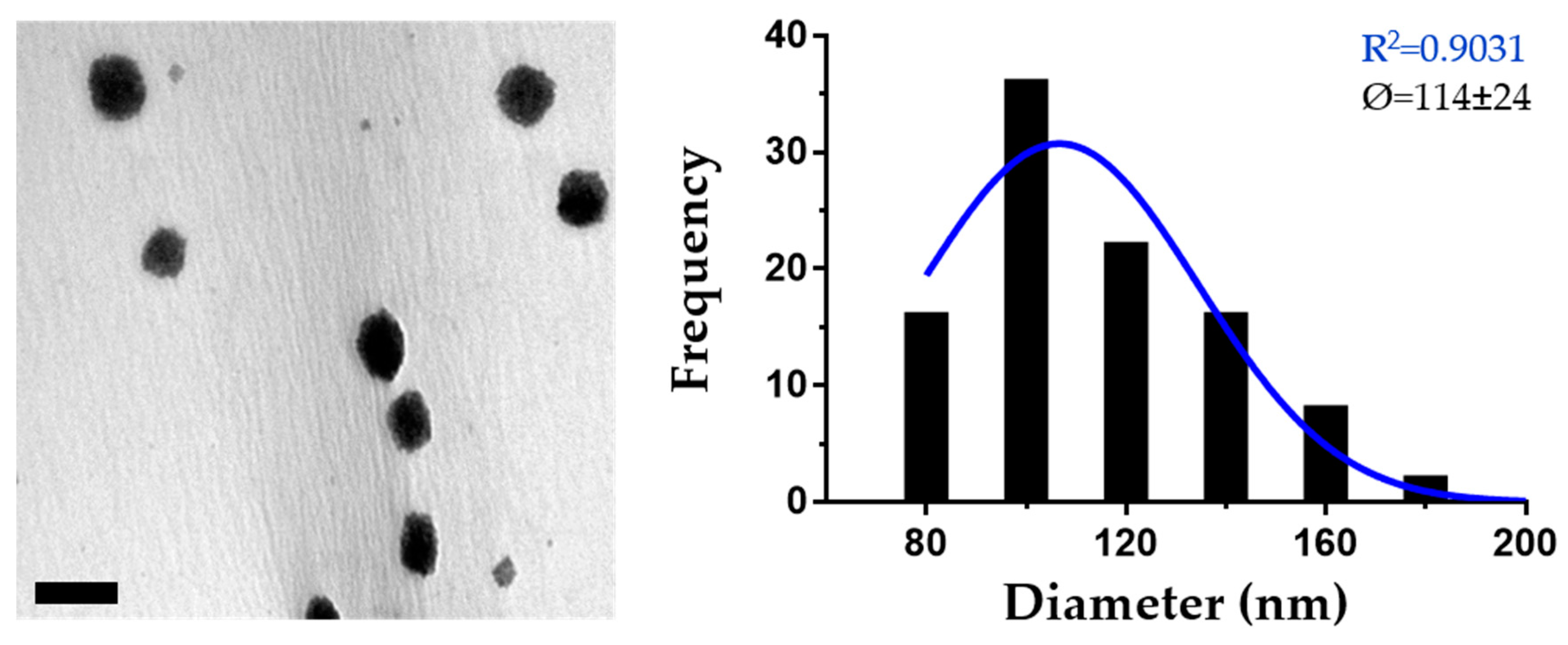Nanomaterials 10 00486 g003