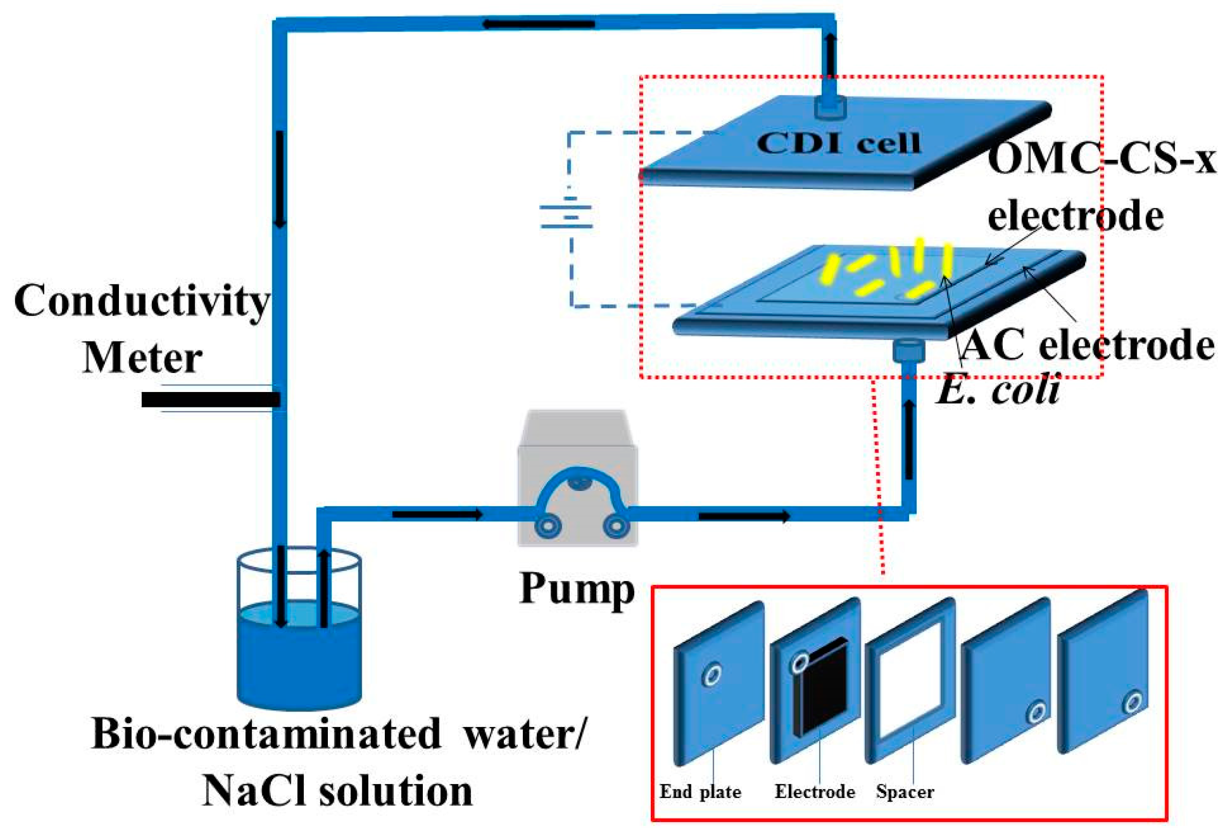 Nanomaterials 10 00489 g001