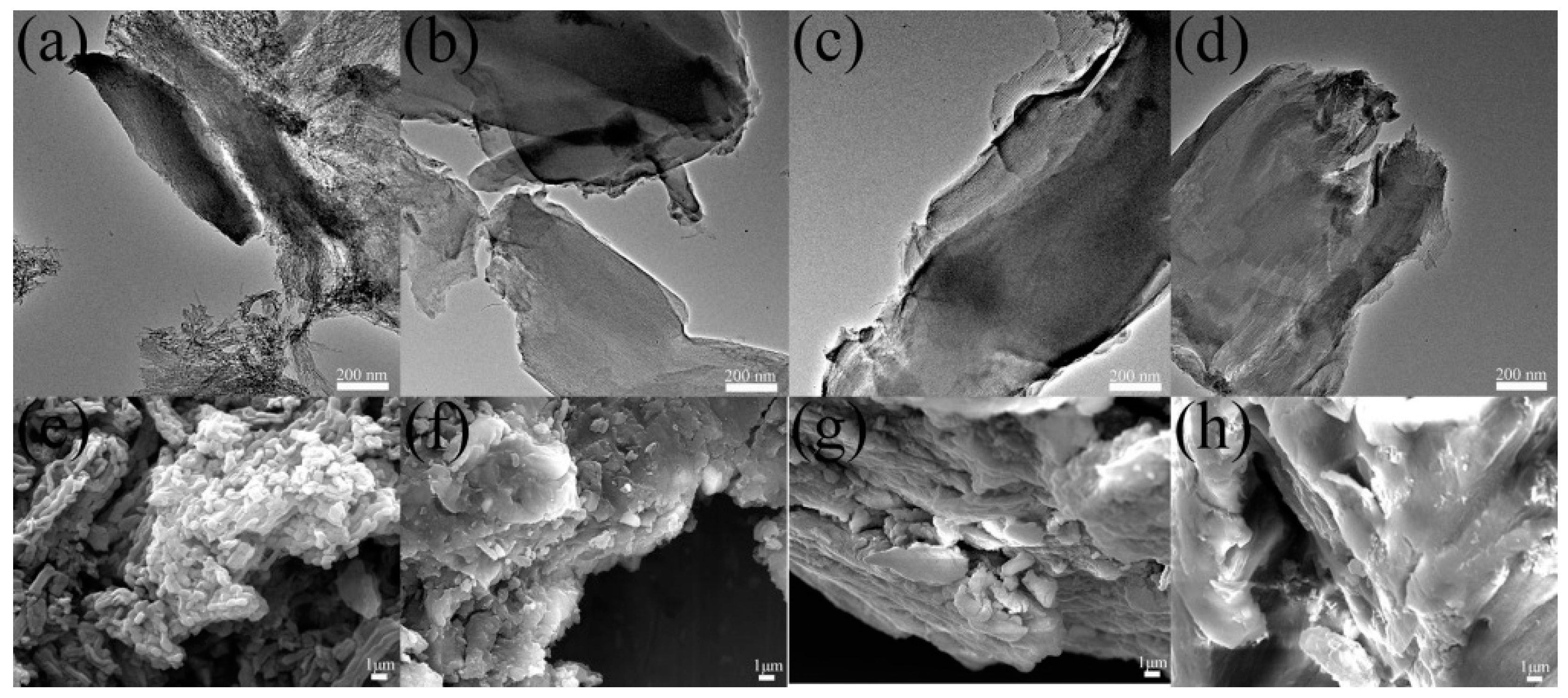 Nanomaterials 10 00489 g002