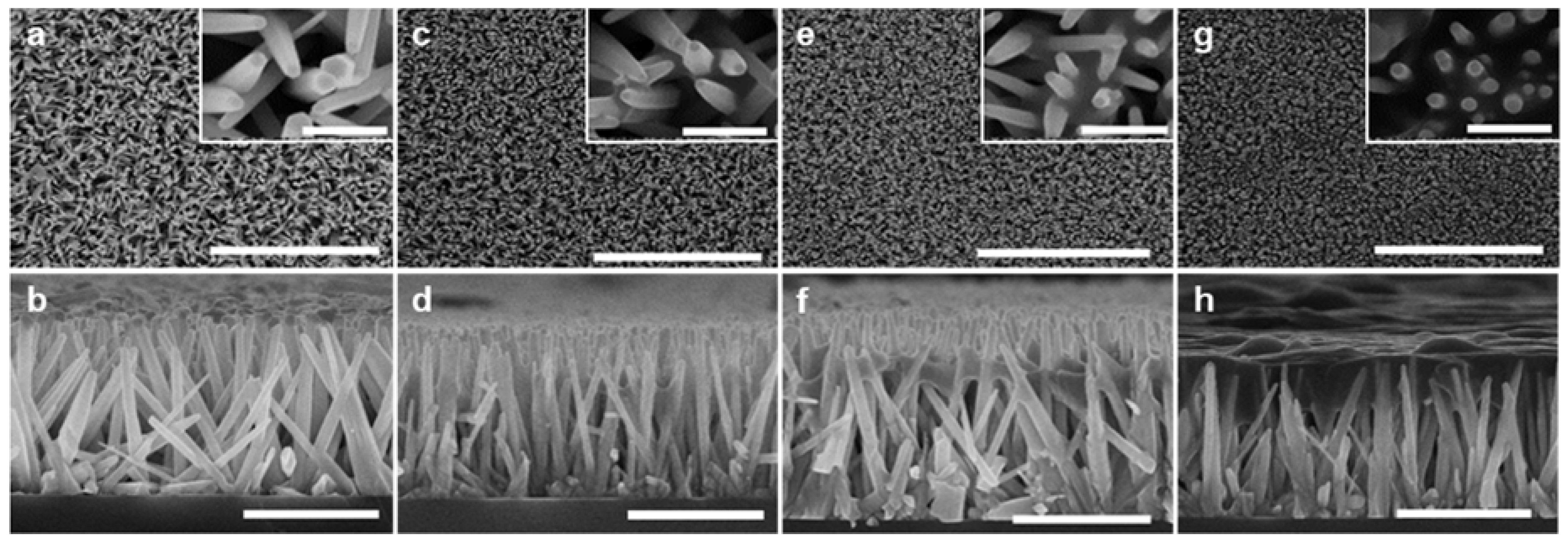 Nanomaterials 10 00491 g001
