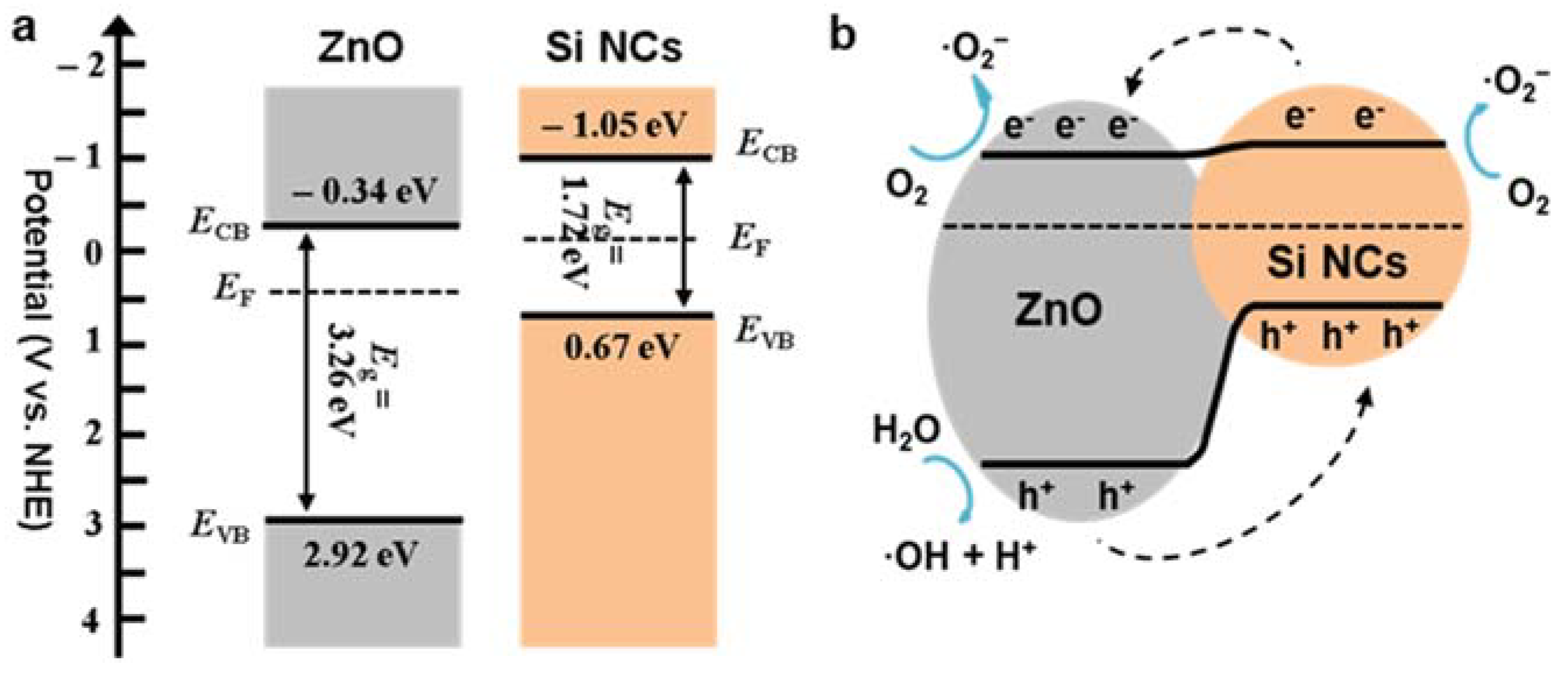 Nanomaterials 10 00491 g007