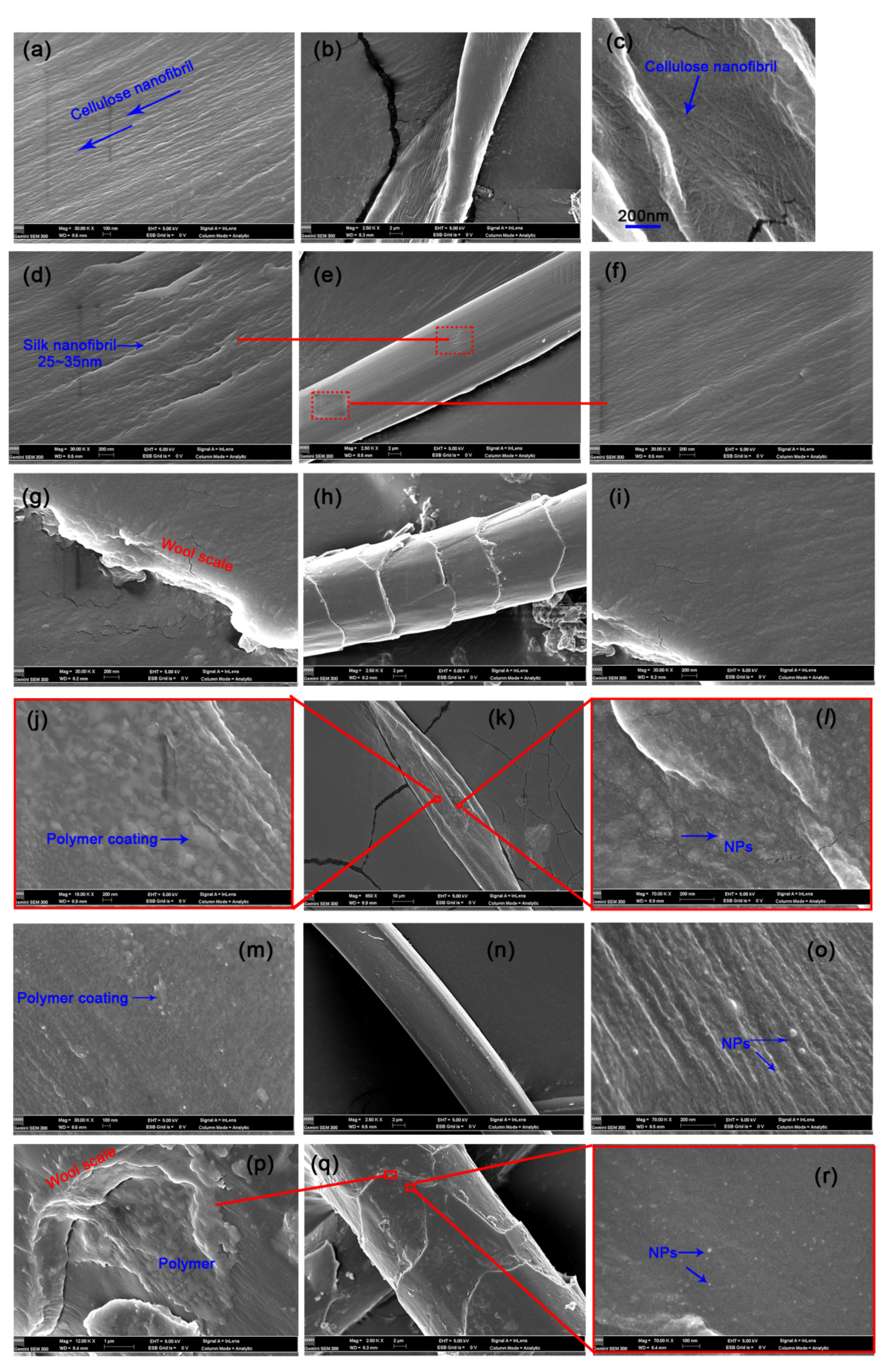 Nanomaterials 10 00495 g005