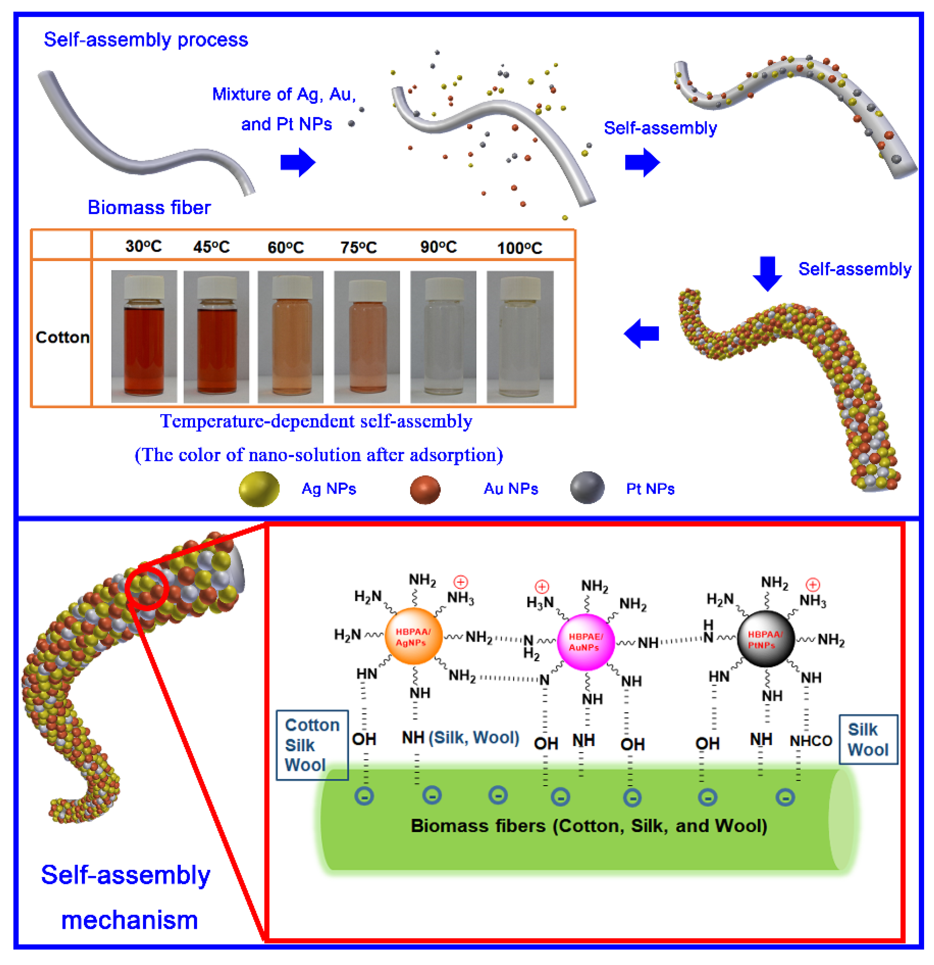Nanomaterials 10 00495 sch001