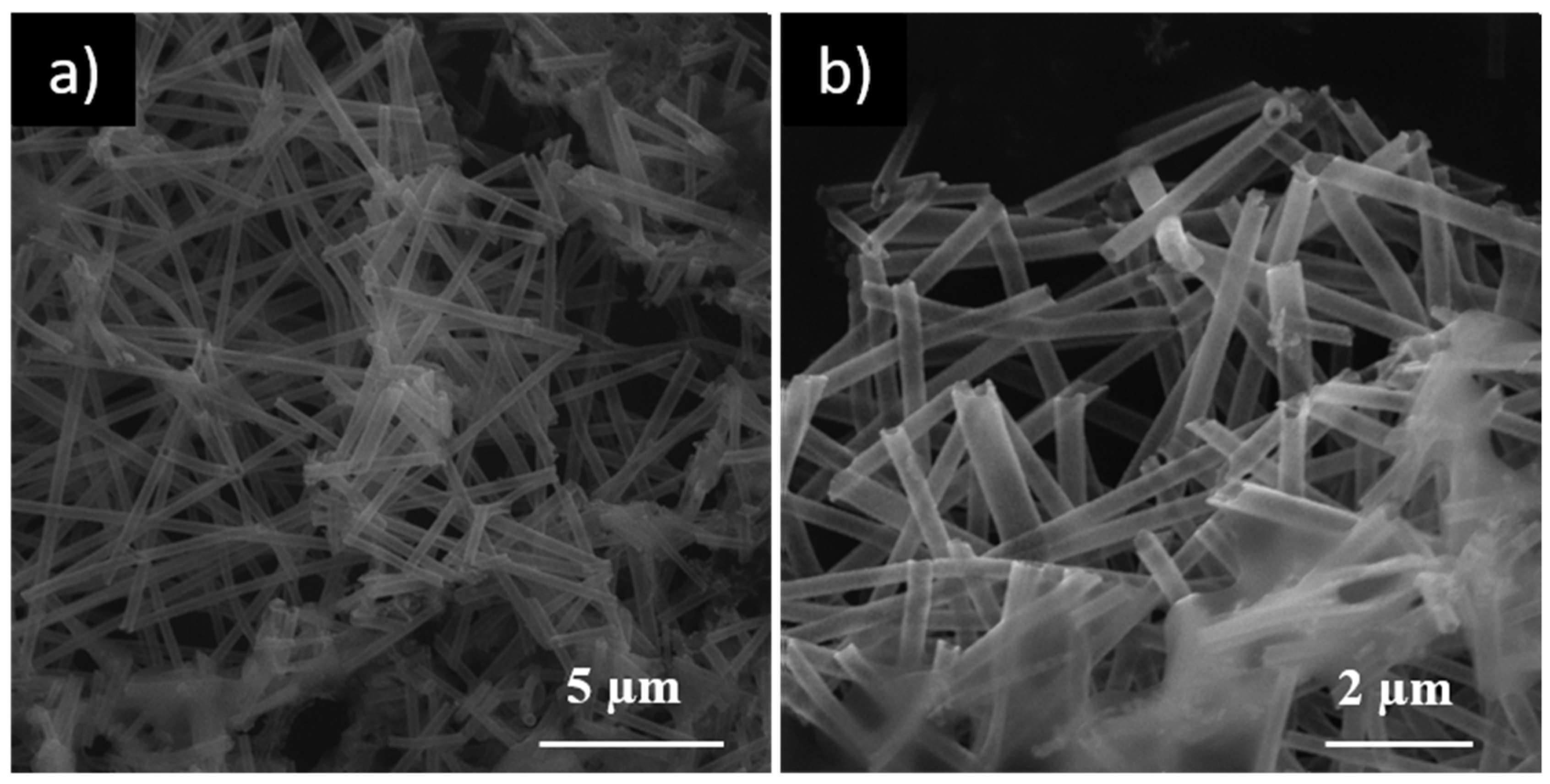 Nanomaterials 10 00503 g003