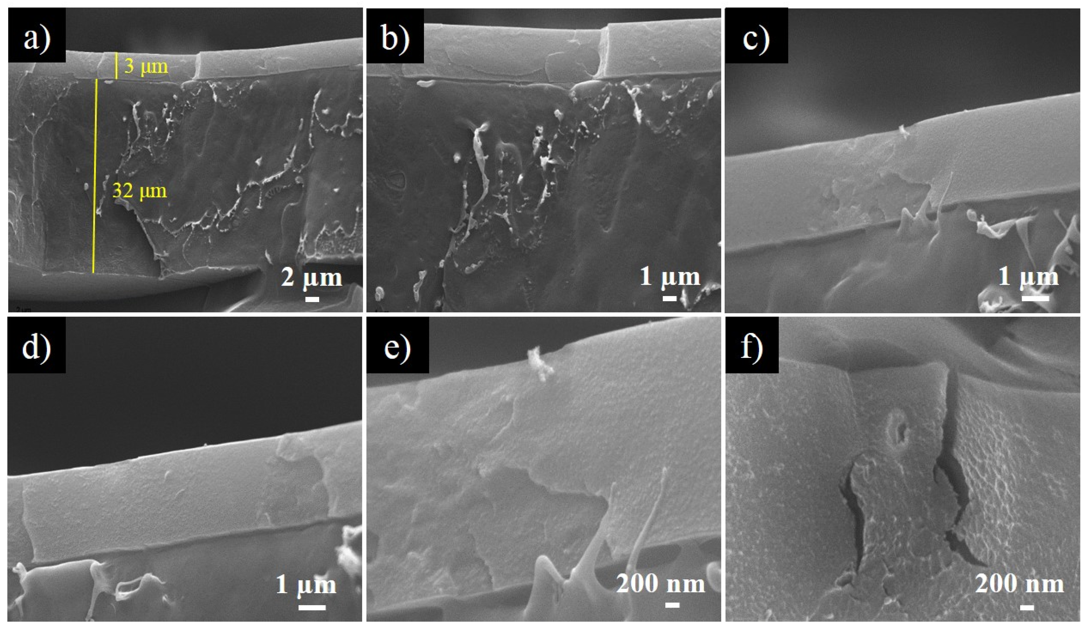 Nanomaterials 10 00503 g006