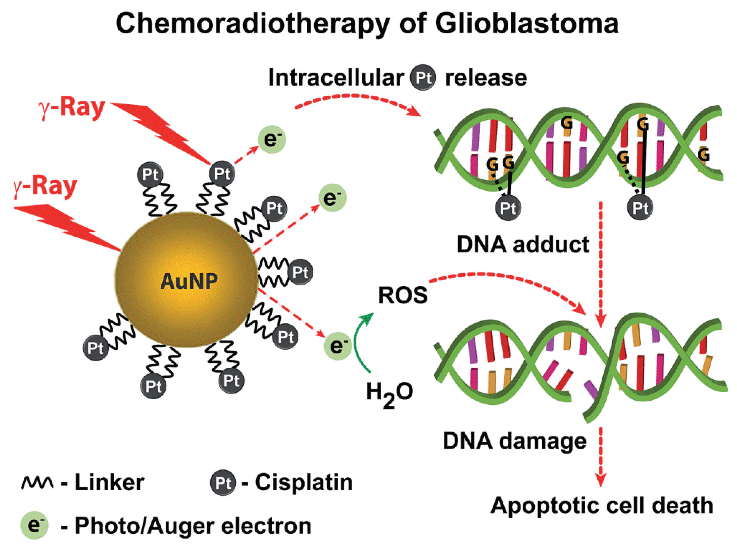 Nanomaterials 10 00504 g002