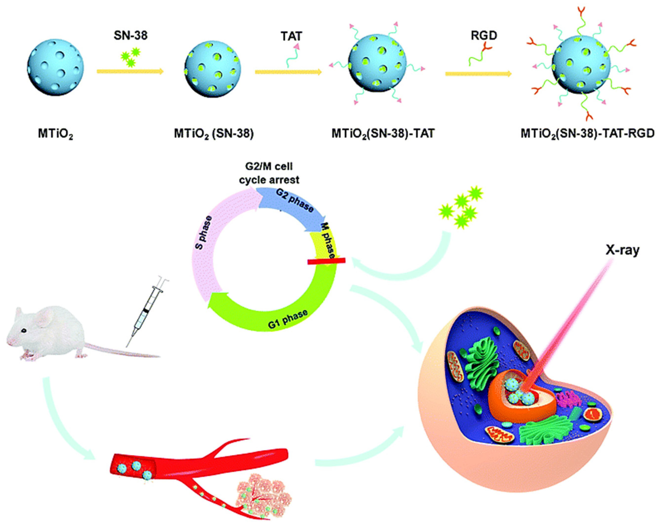 Nanomaterials 10 00504 g003