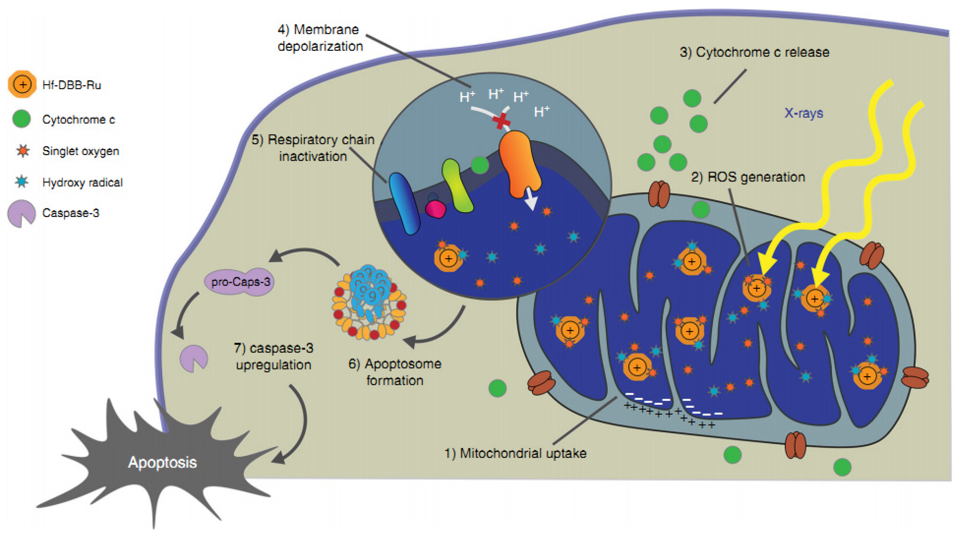 Nanomaterials 10 00504 g004