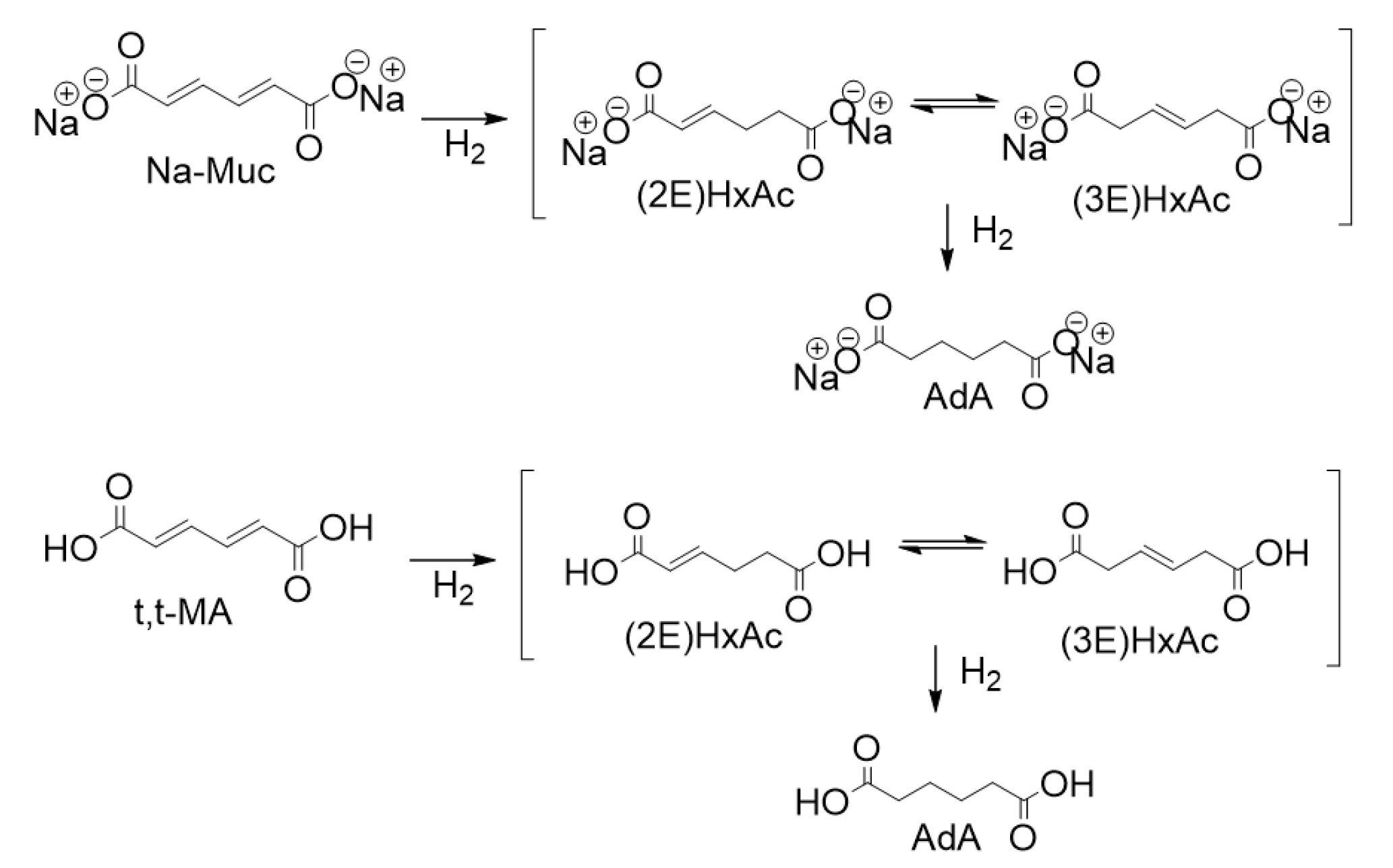 Nanomaterials 10 00505 g001 Nanomaterials 10 00505 g001