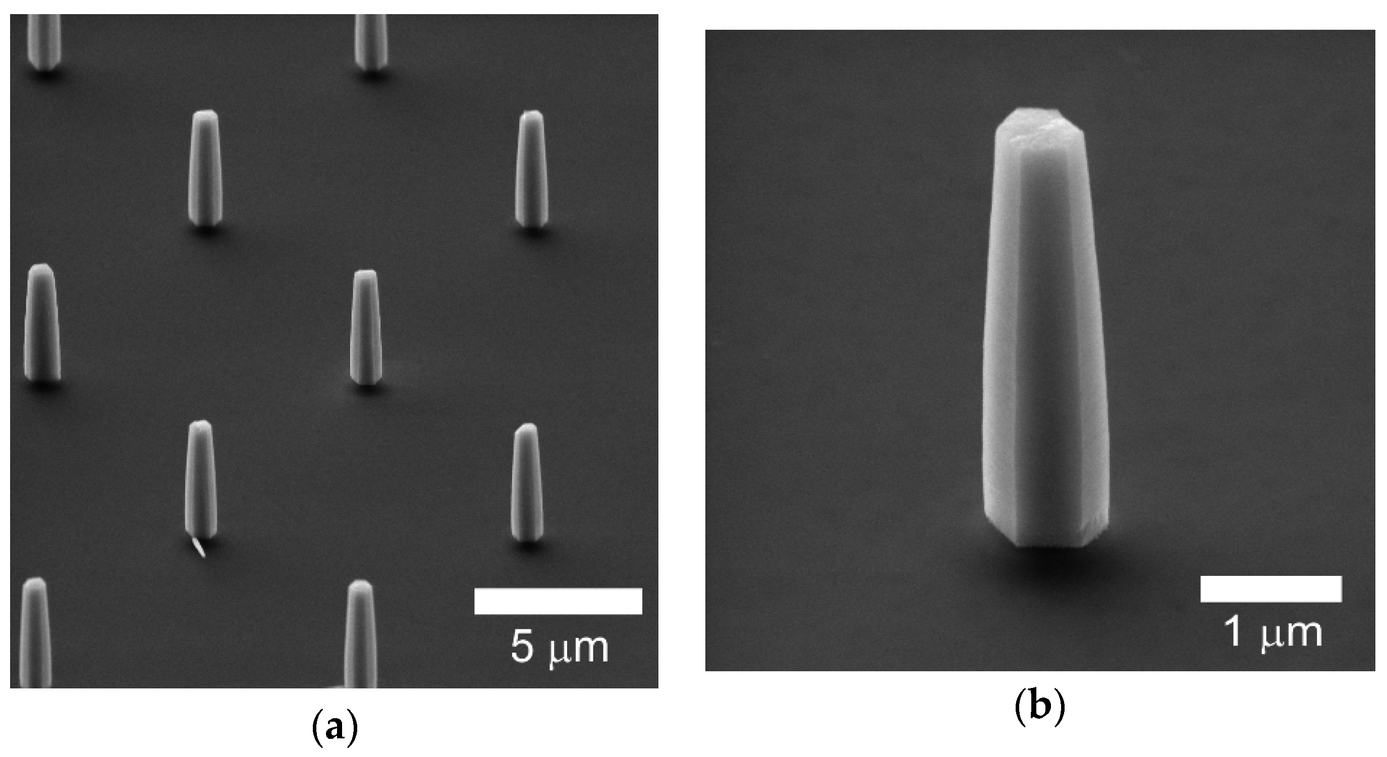 Nanomaterials 10 00508 g003