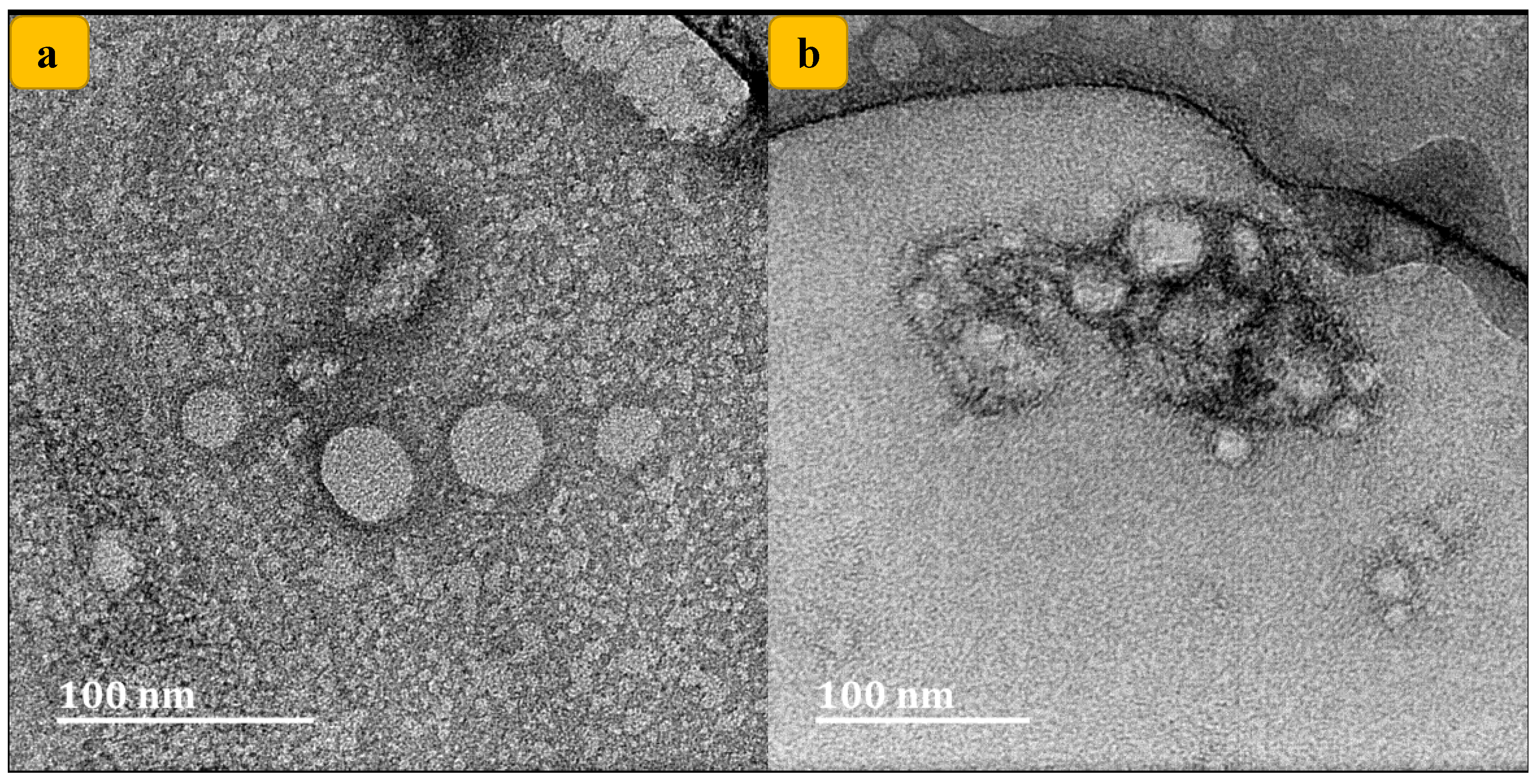 Nanomaterials 10 00510 g002 Nanomaterials 10 00510 g002