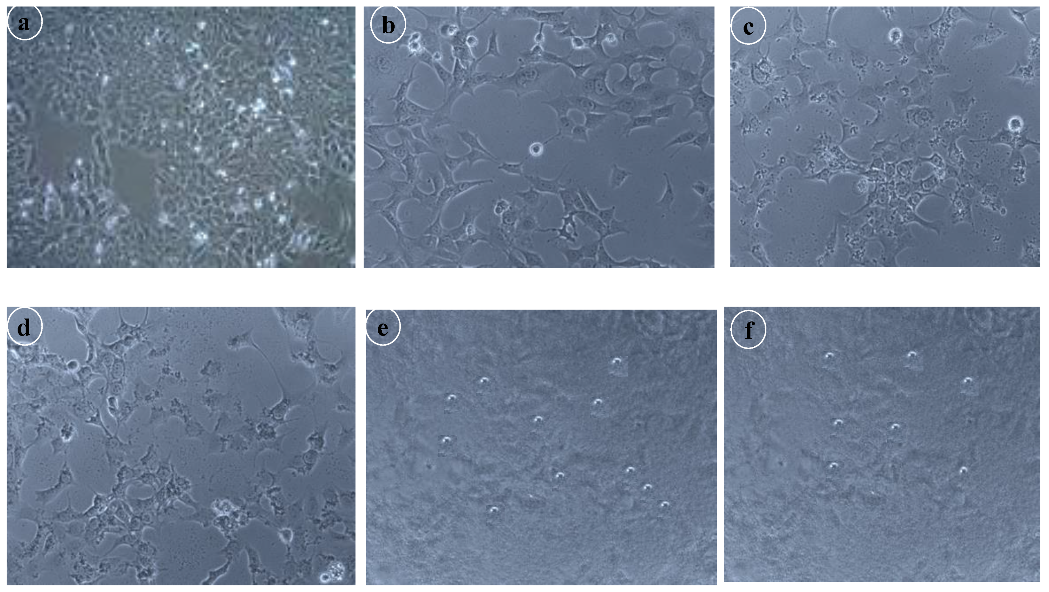 Nanomaterials 10 00510 g007 Nanomaterials 10 00510 g007