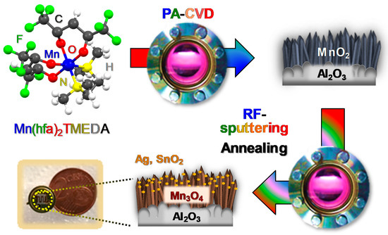 Nanomaterials 10 00511 g001 550