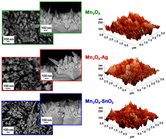 Nanomaterials 10 00511 g005 550