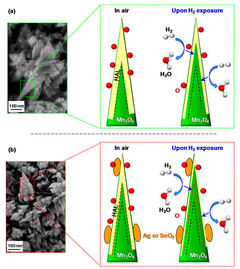 Nanomaterials 10 00511 g007 550