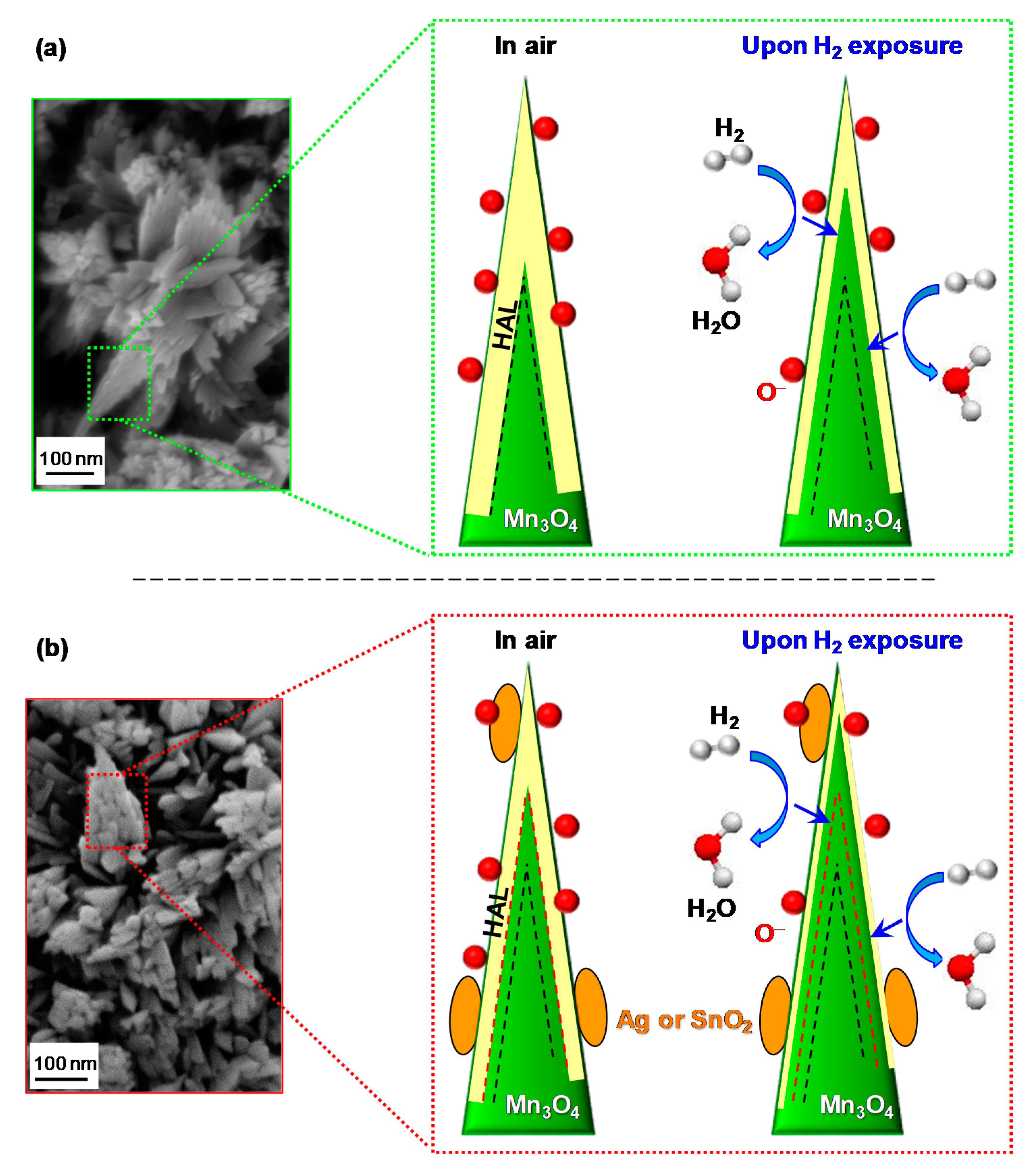 Nanomaterials 10 00511 g007 Nanomaterials 10 00511 g007