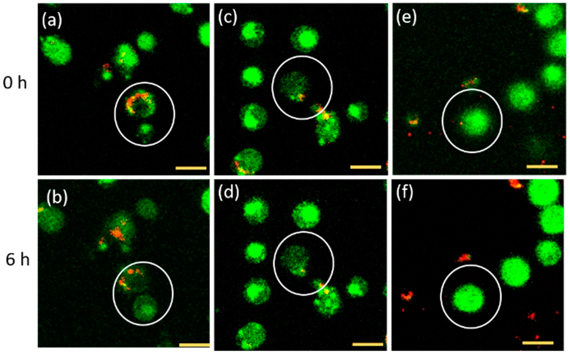 Nanomaterials 10 00516 g003 Nanomaterials 10 00516 g003