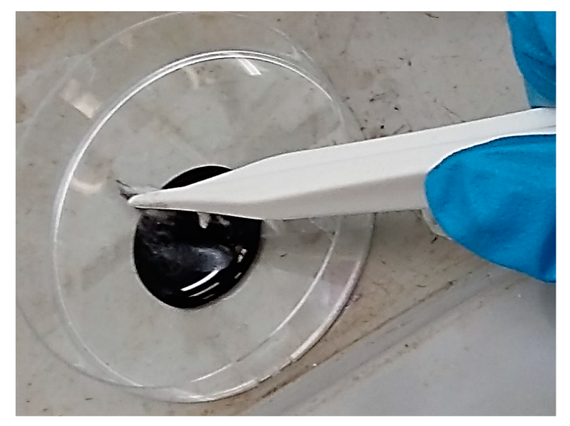 Nanomaterials 10 00517 g003 Nanomaterials 10 00517 g003