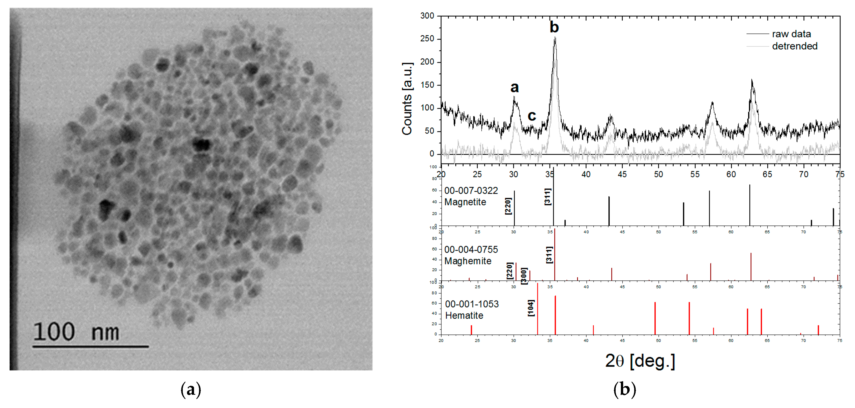 Nanomaterials 10 00517 g004 Nanomaterials 10 00517 g004