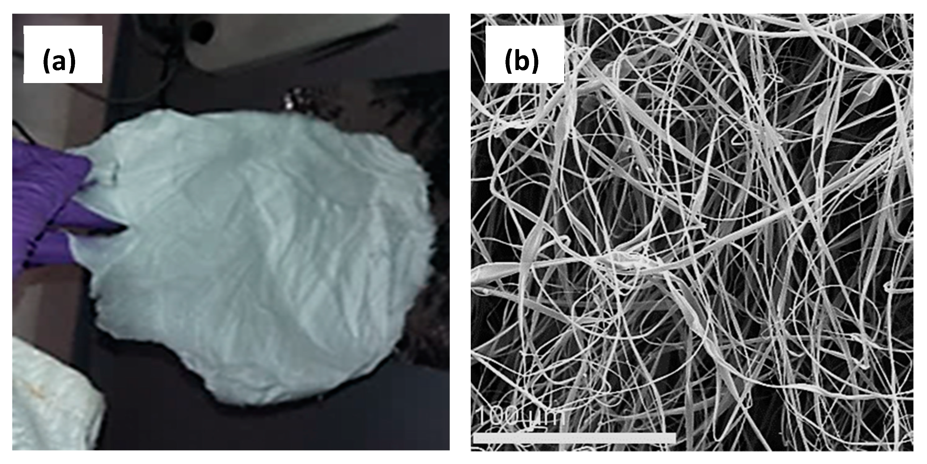 Nanomaterials 10 00517 g006 Nanomaterials 10 00517 g006