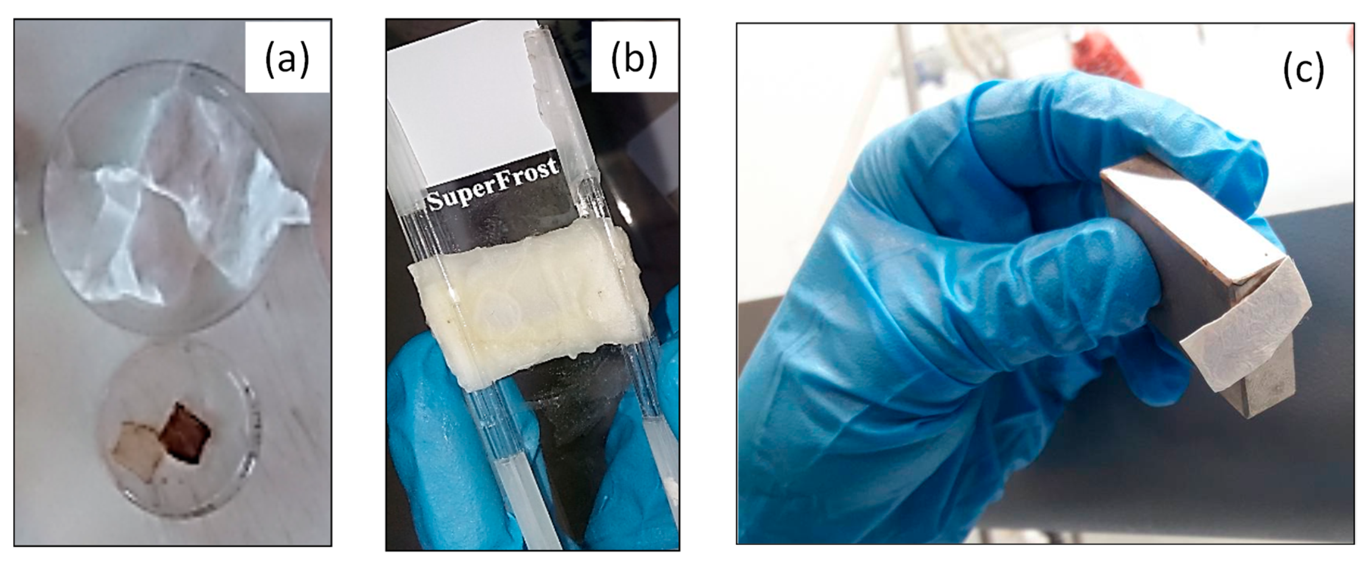 Nanomaterials 10 00517 g009 Nanomaterials 10 00517 g009