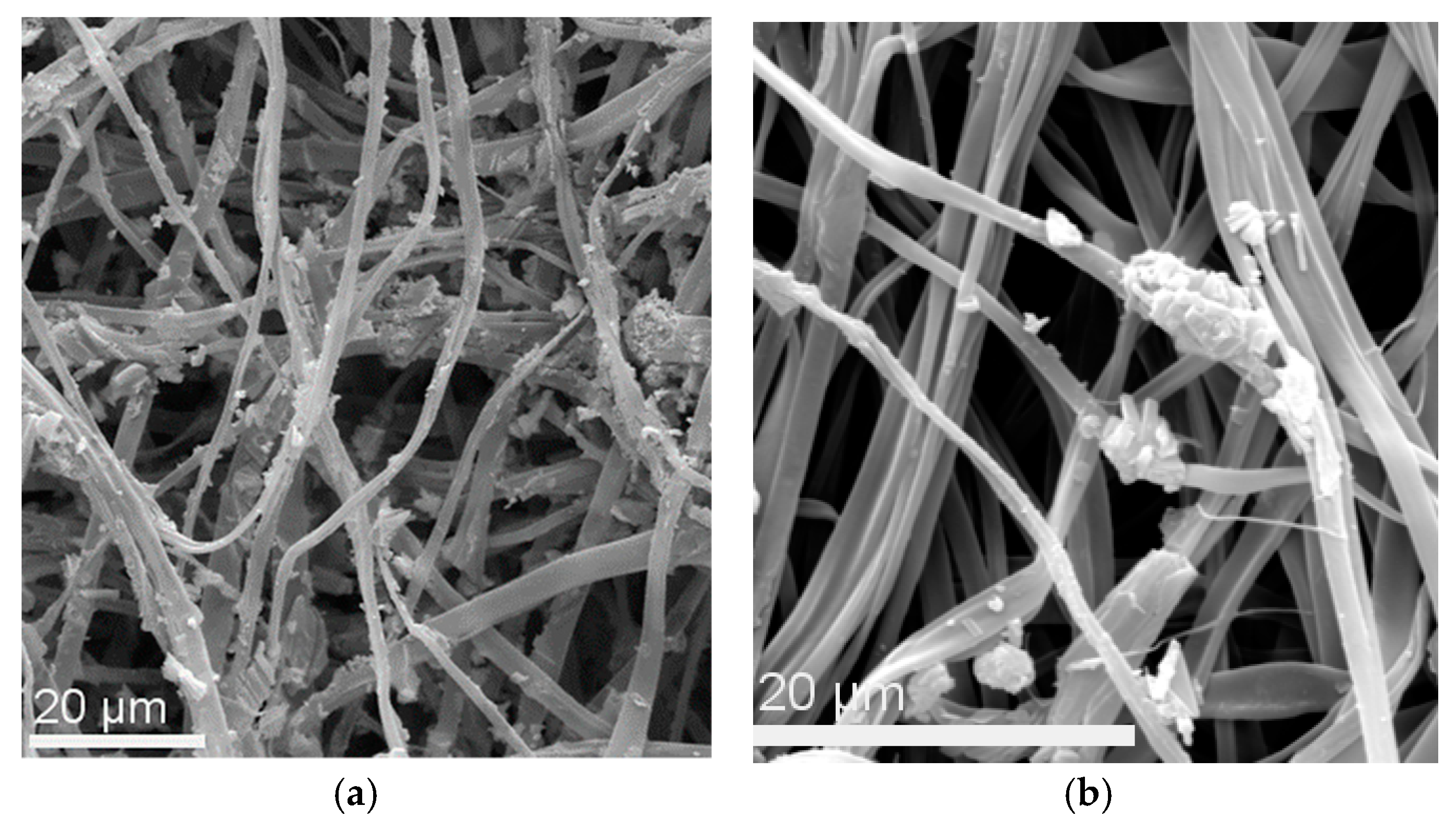 Nanomaterials 10 00517 g011 Nanomaterials 10 00517 g011