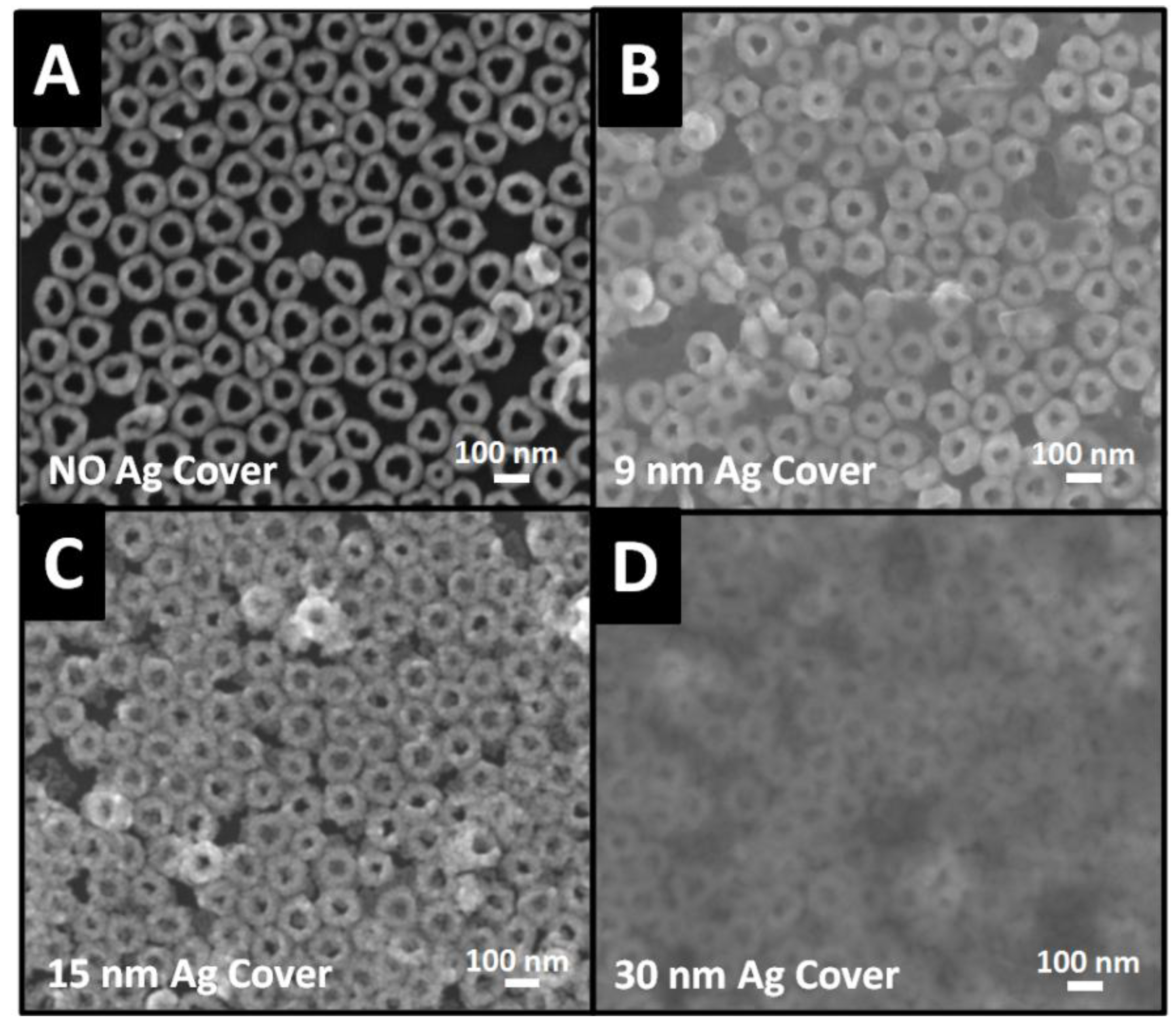 Nanomaterials 10 00519 g003