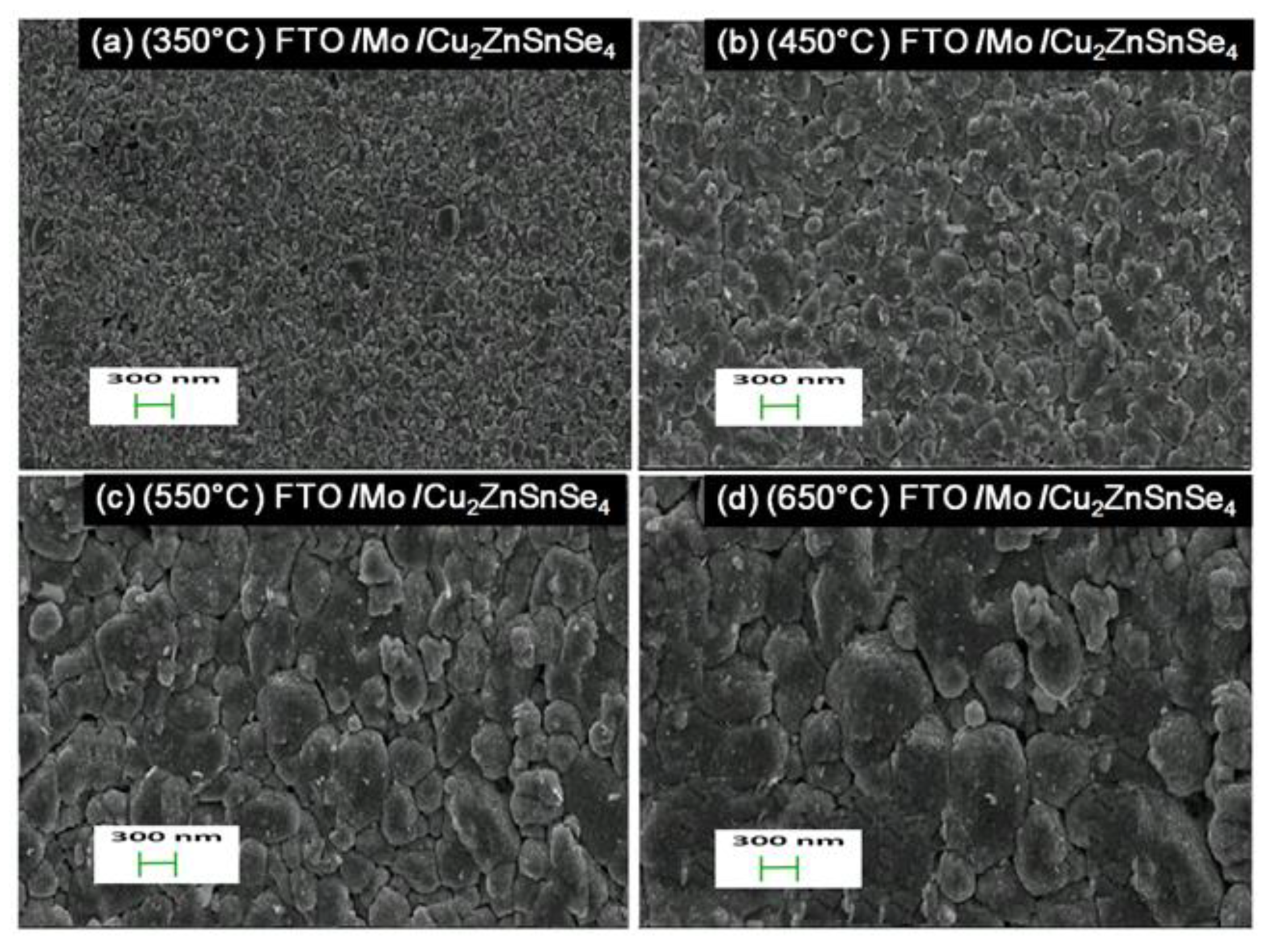 Nanomaterials 10 00521 g004