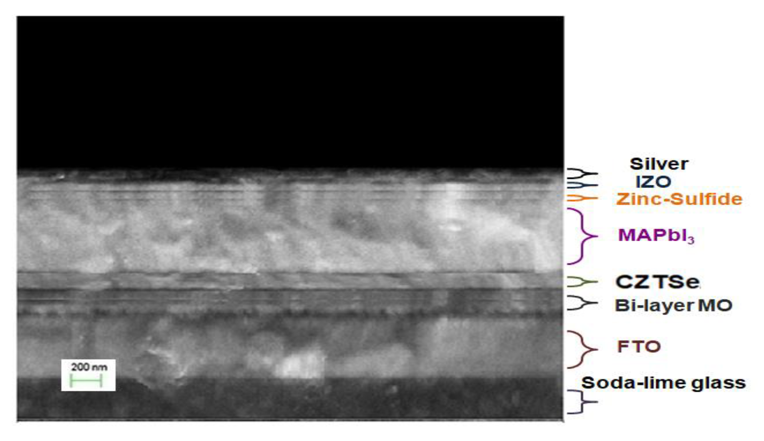 Nanomaterials 10 00521 g013