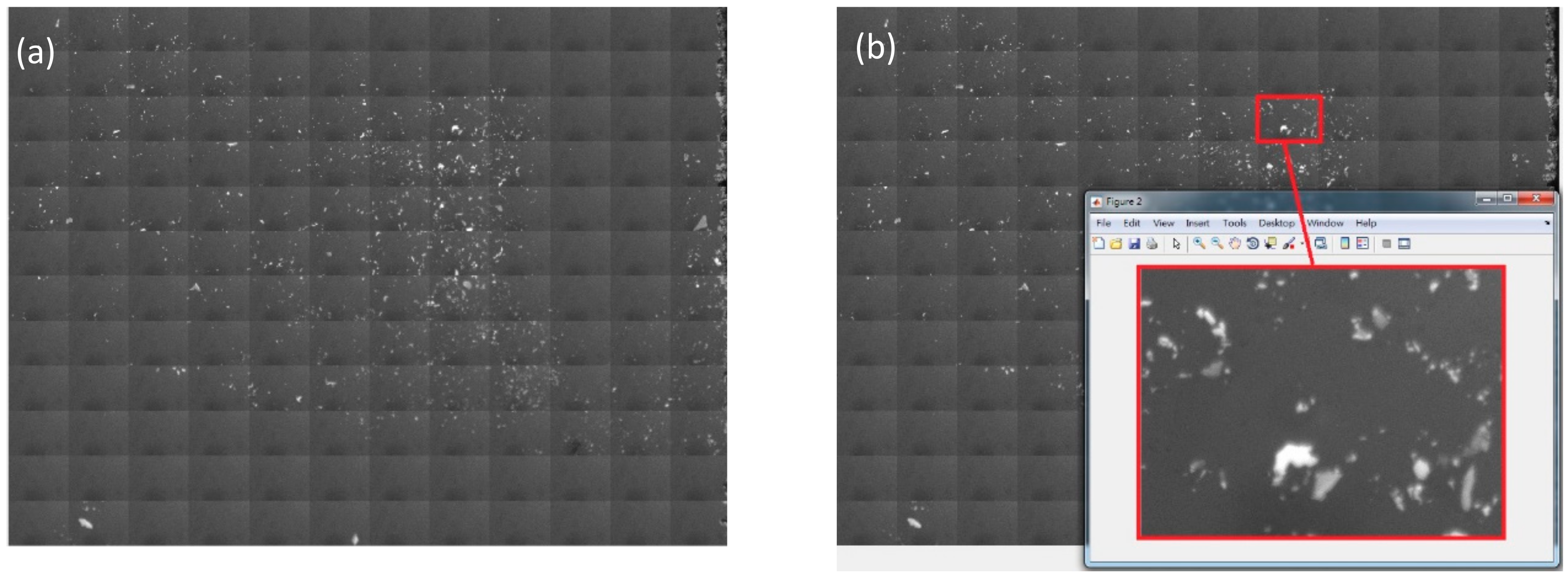 Nanomaterials 10 00526 g002