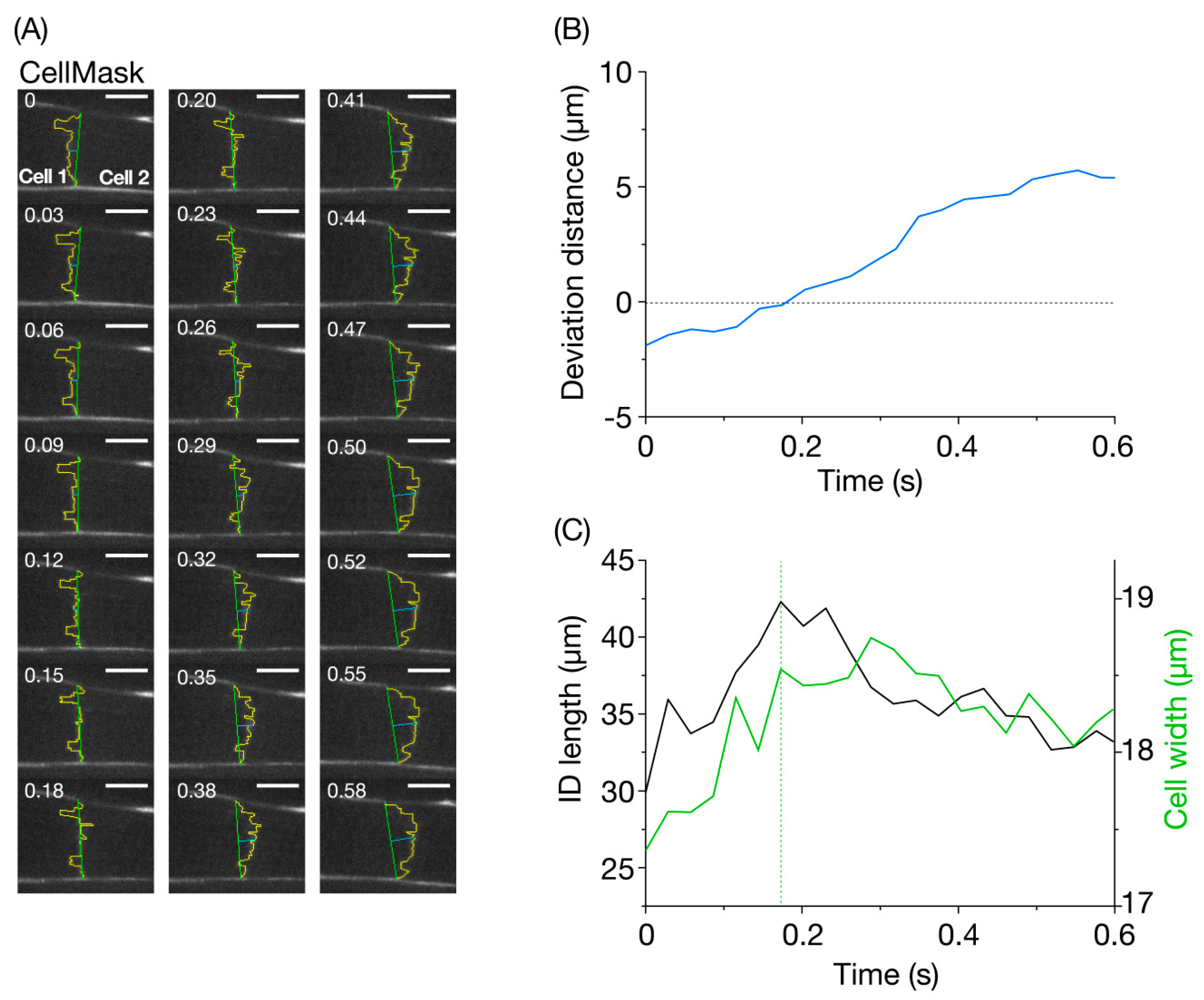 Nanomaterials 10 00532 g003 Nanomaterials 10 00532 g003