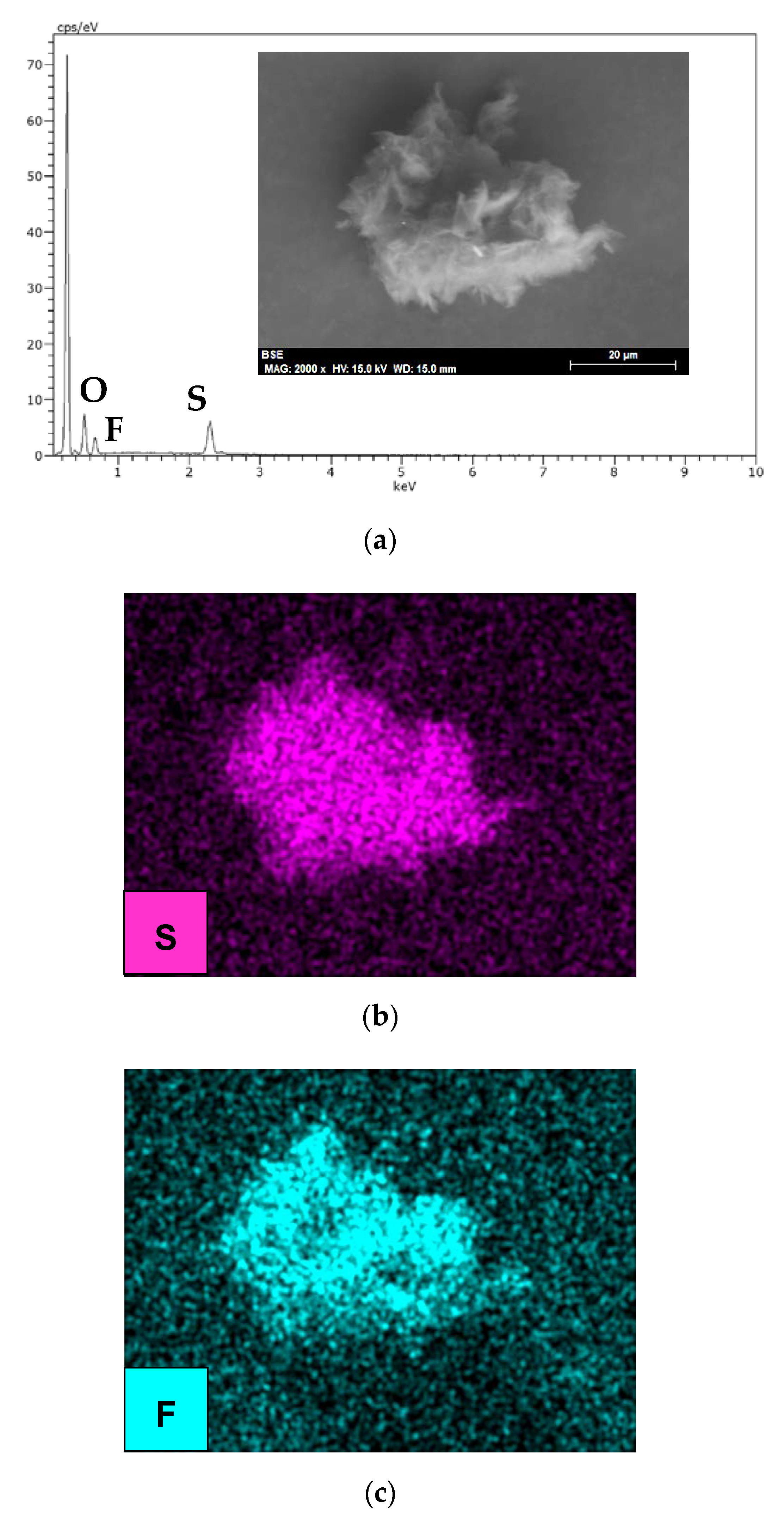 Nanomaterials 10 00535 g011