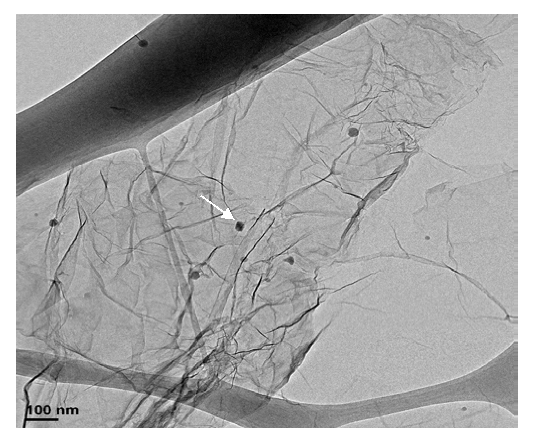Nanomaterials 10 00535 g012