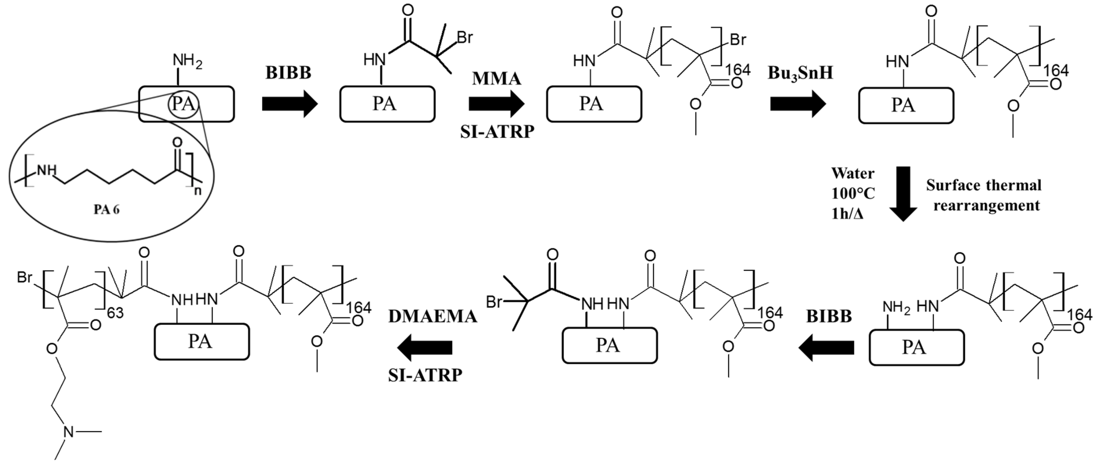 Nanomaterials 10 00536 sch001